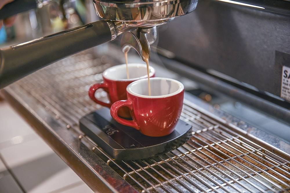 Felicita Arc Waterproof Coffee Scale、mySite、gigharbornorthrealestate