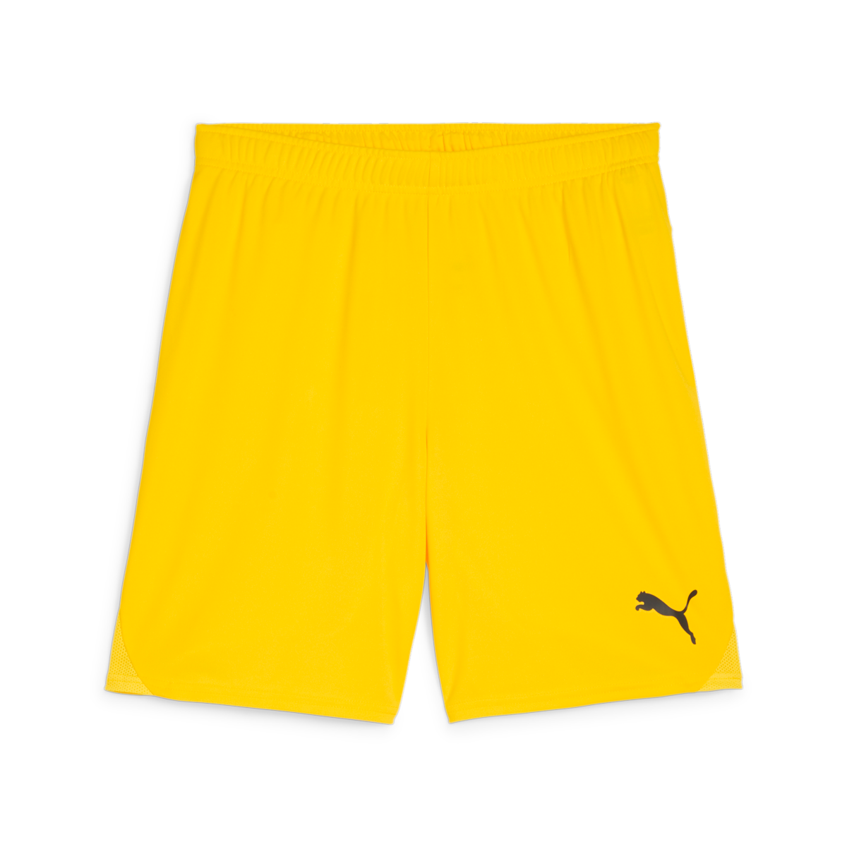 Puma Teamgoal Shorts - Yellow、mySite、noshort
