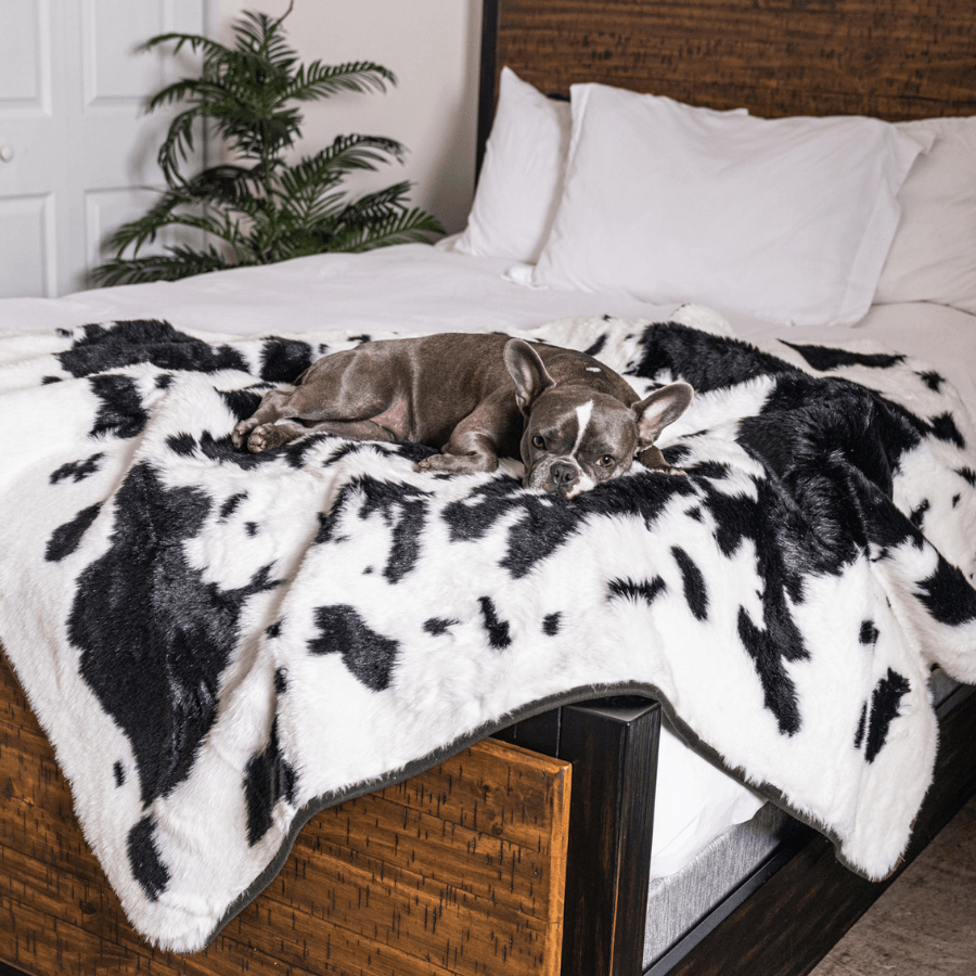 Paw.com x BarkBox PupProtector™ Waterproof Throw Blanket - Black Faux Cowhide、mySite、solidvoid