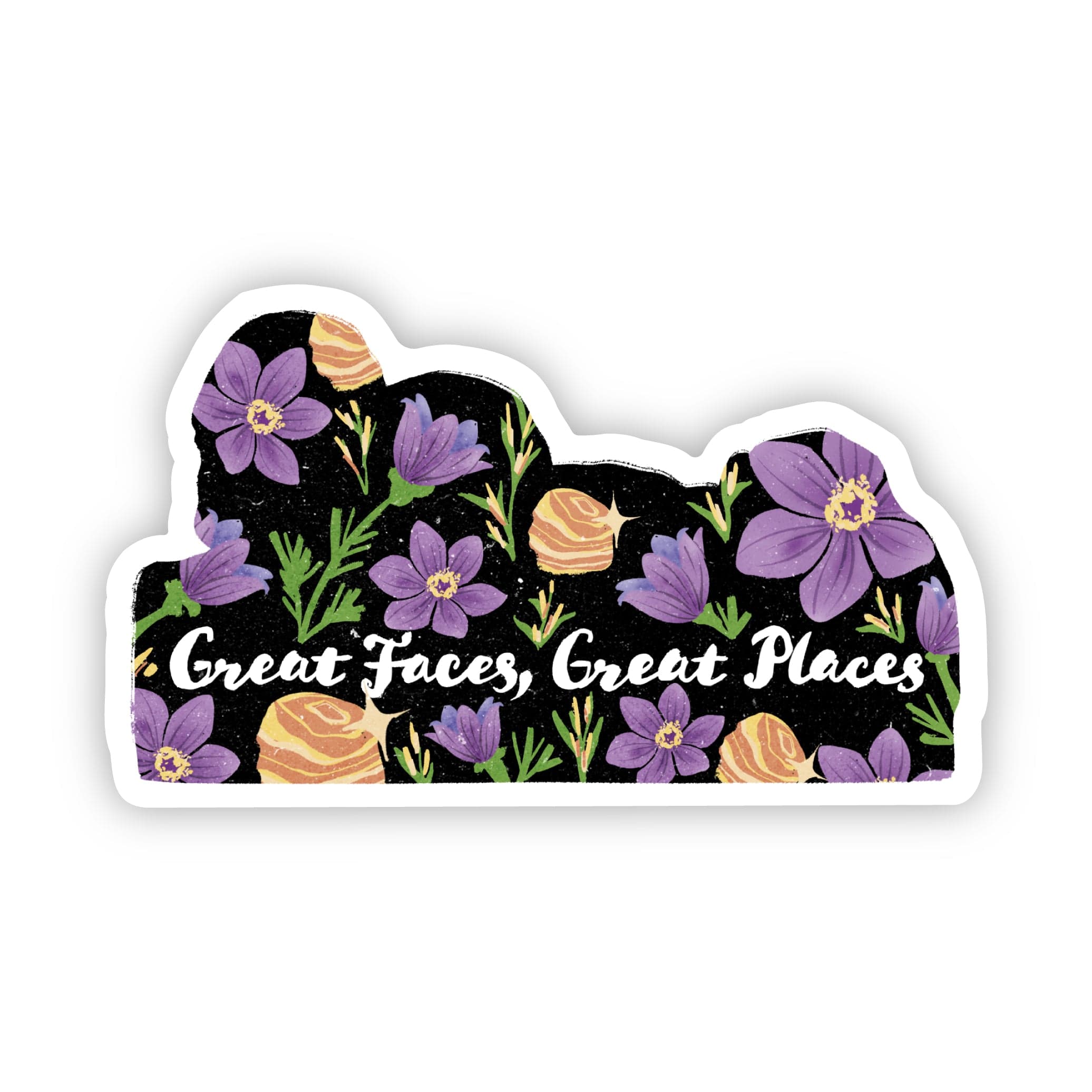  Great Faces, Great Places South Dakota Sticker、mySite、ghnorth