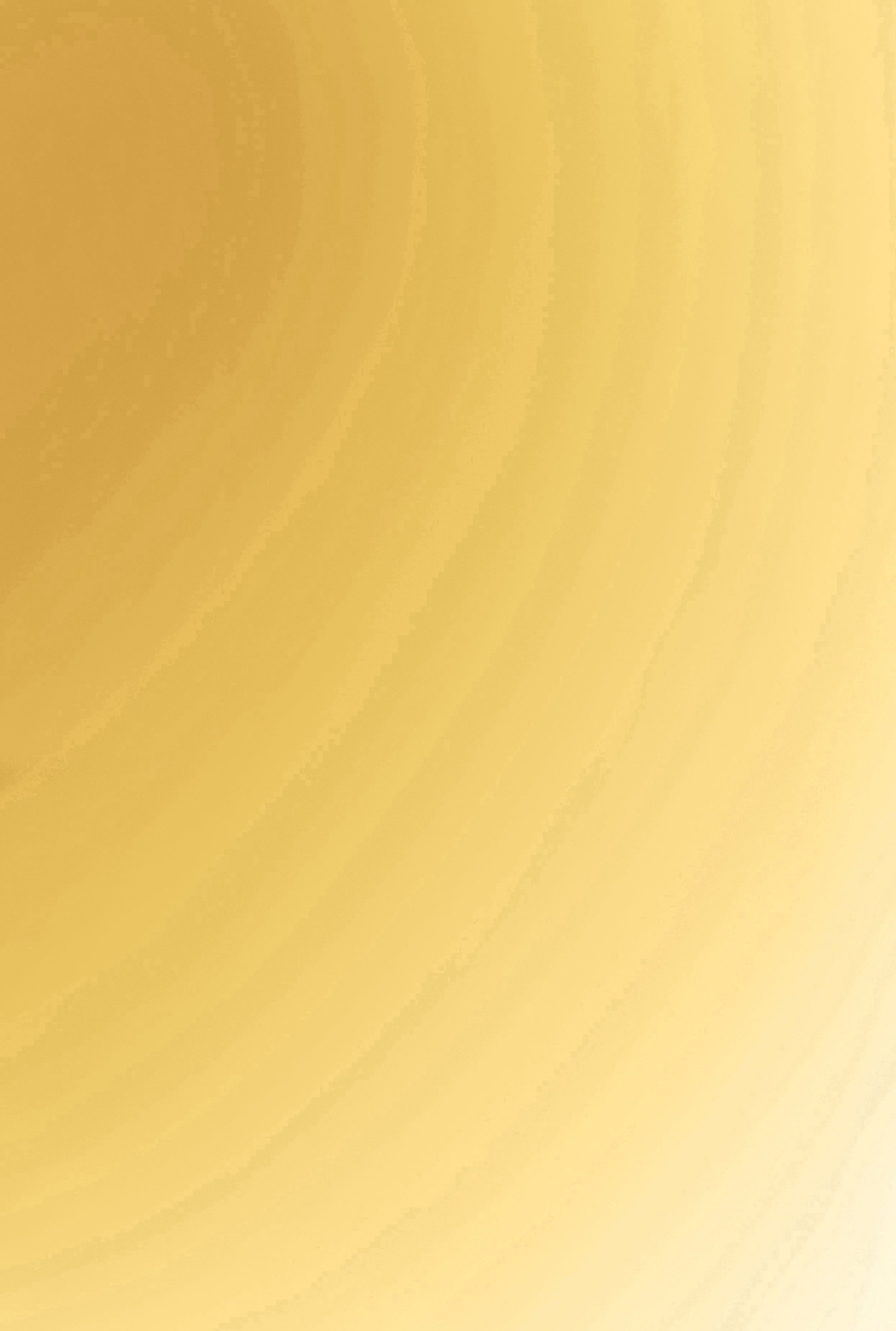 Cubic Zirconia Embellished Choker Necklace and Stud Earrings、mySite、camillekostekn