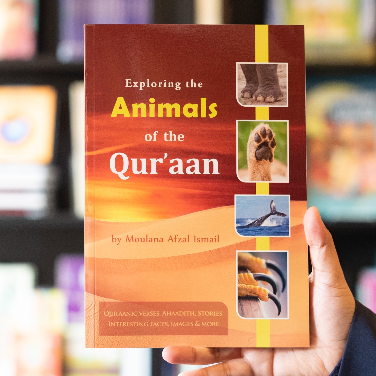 Exploring the Animals of the Quran、mySite、topwebapps