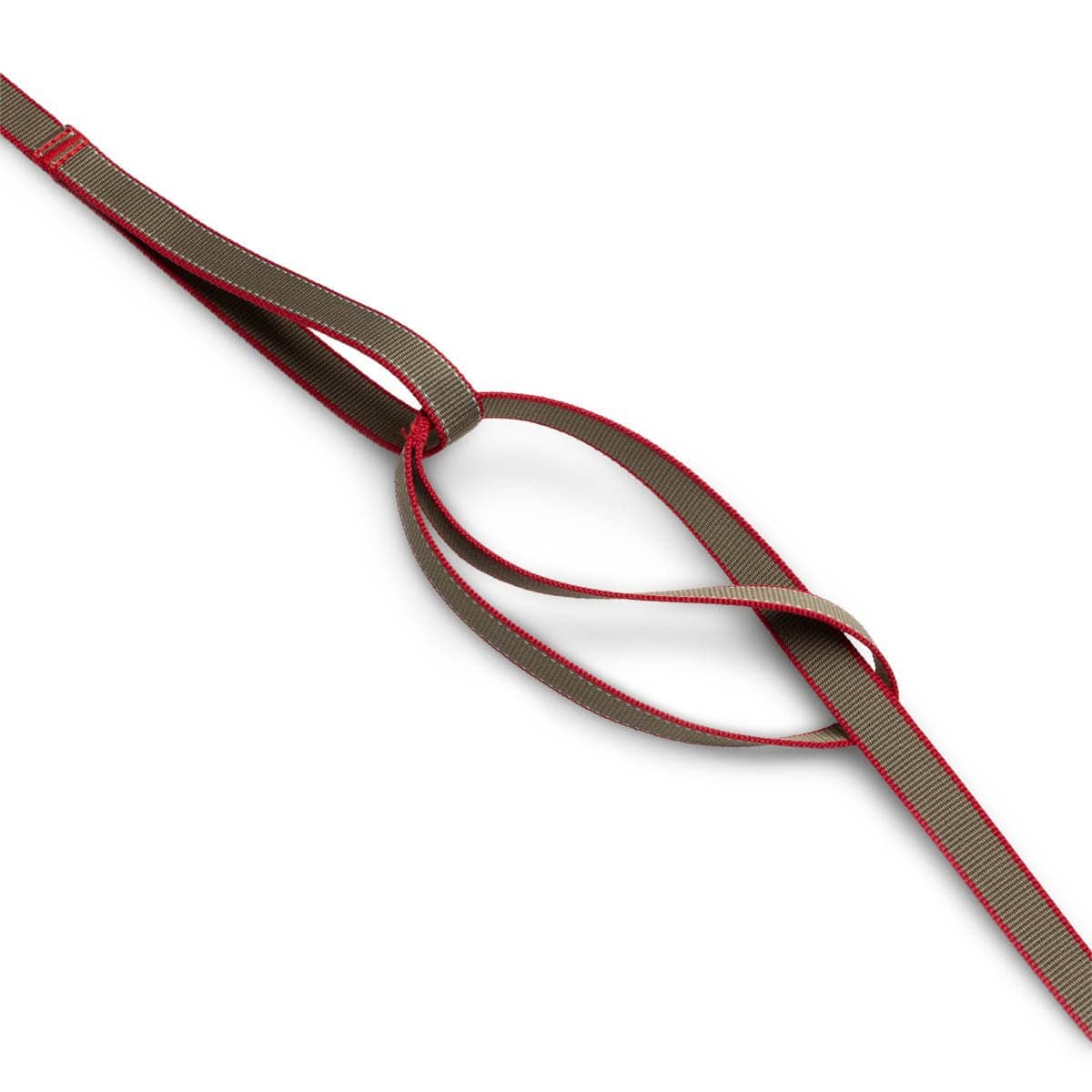 PLAYING LEAD (DOG LEASHES)、mySite、zt4zffjzw