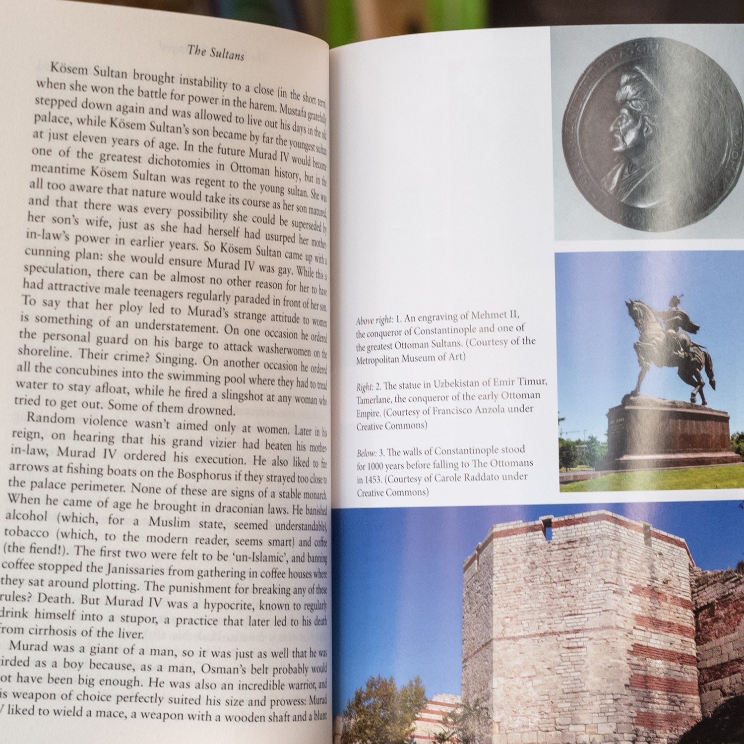 The Sultans: The Rise and Fall of the Ottoman Rulers and Their World、mySite、topwebapps