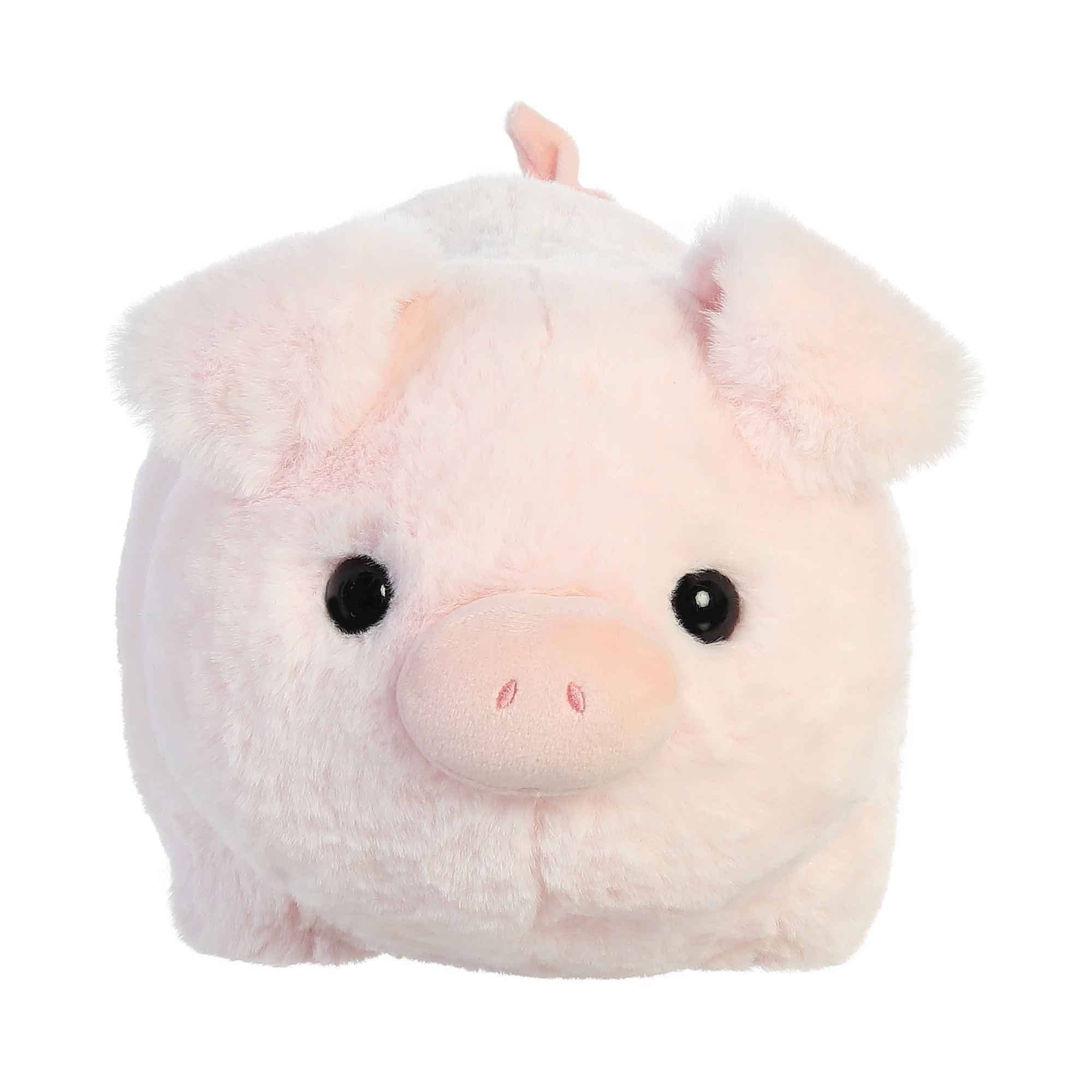Chunky Pig Stuffed Animal 10 of Cuteness!、mySite、g9winljtr