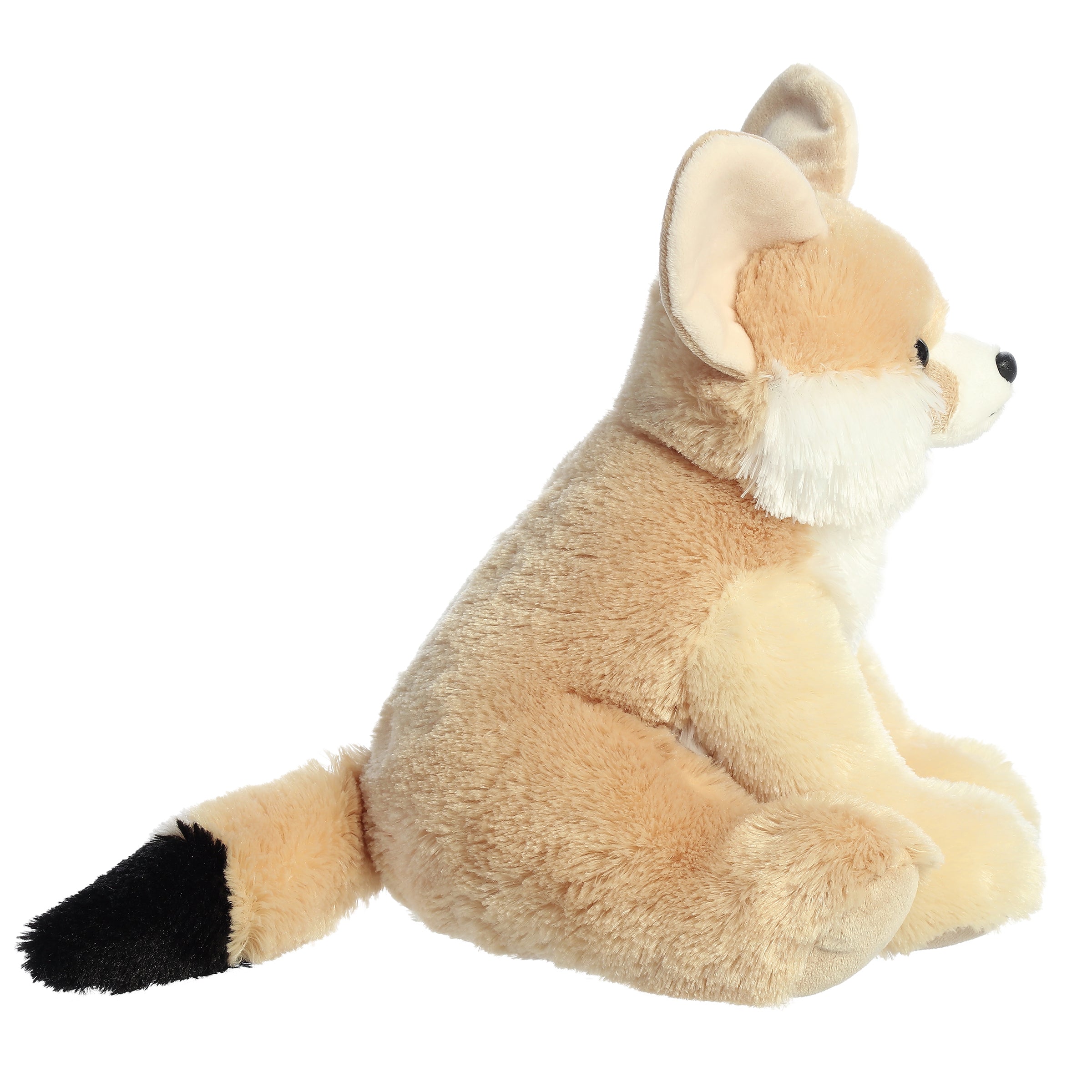 Aurora® - 14 Fennec Fox、mySite、g9winljtr