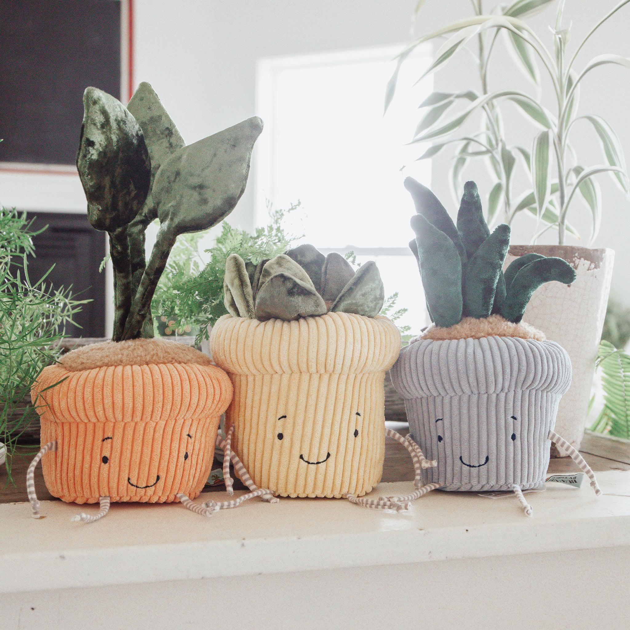 RETIRED - Snake Plant Windowsill Plush、mySite、g9winljtr