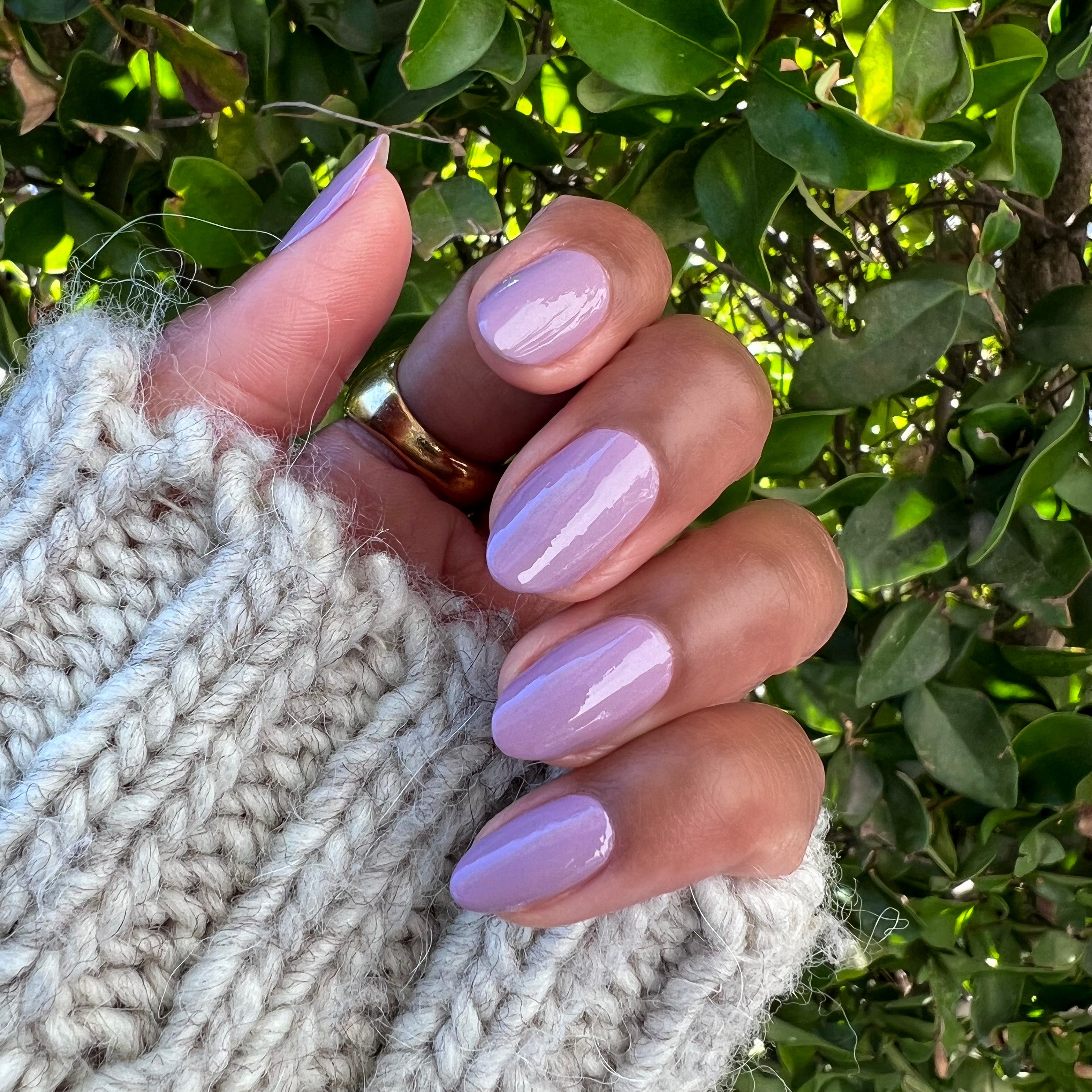 Prairie、mySite、solidvoid