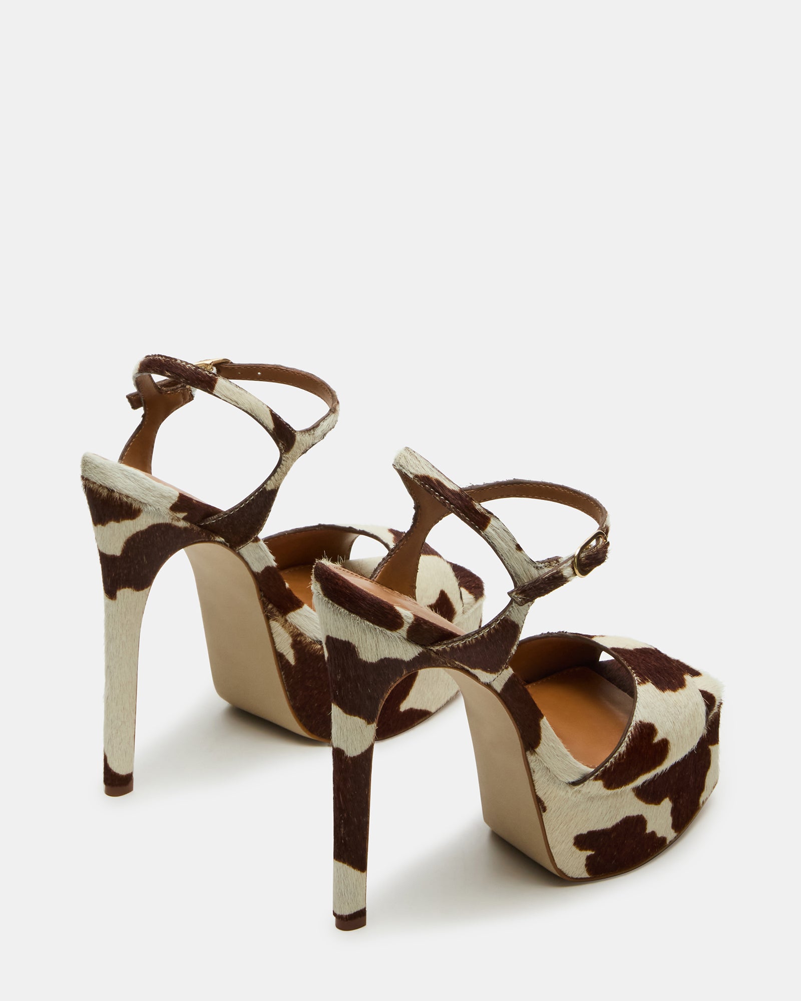 COLOGNE BROWN COW PRINT、mySite、gtrtttuynbv