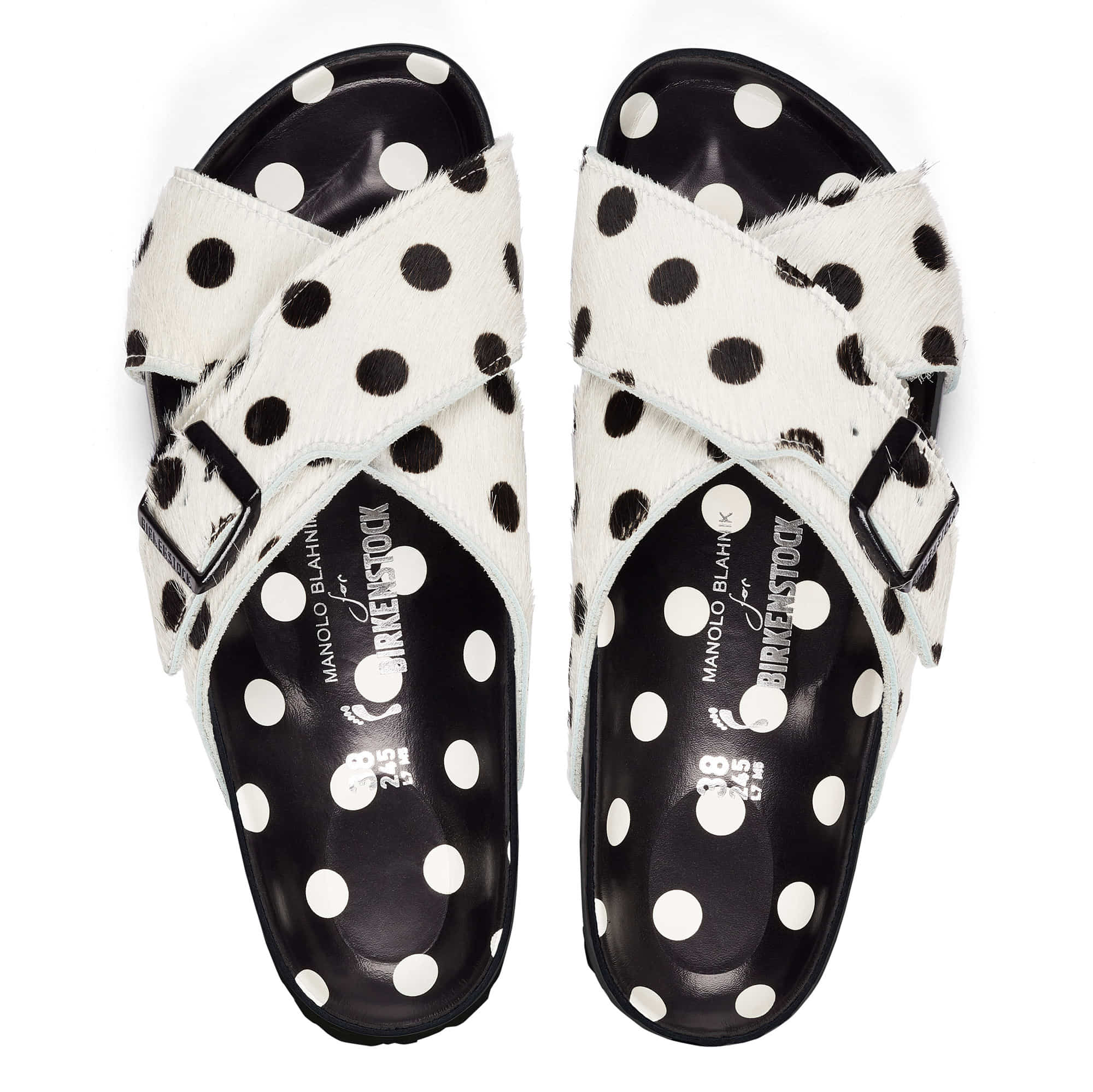 Rodra Manolo Polka Dots、mySite、gtrtttuynbv