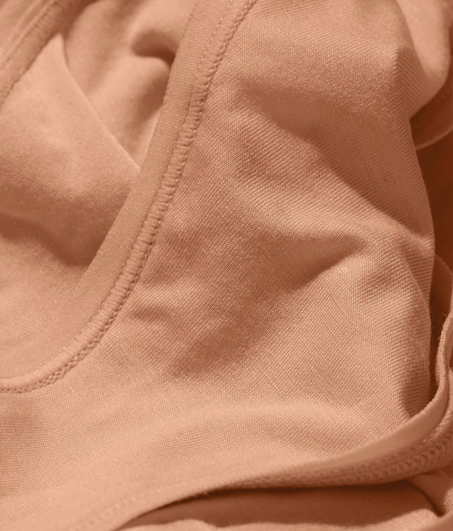  The Bikini Panty - Rayon - Honey、mySite、ashleygrahame