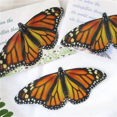 Monarch Butterfly 3D Magnet Set、mySite、g9winljtr