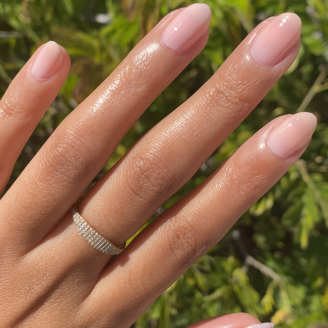 Sandy、mySite、solidvoid