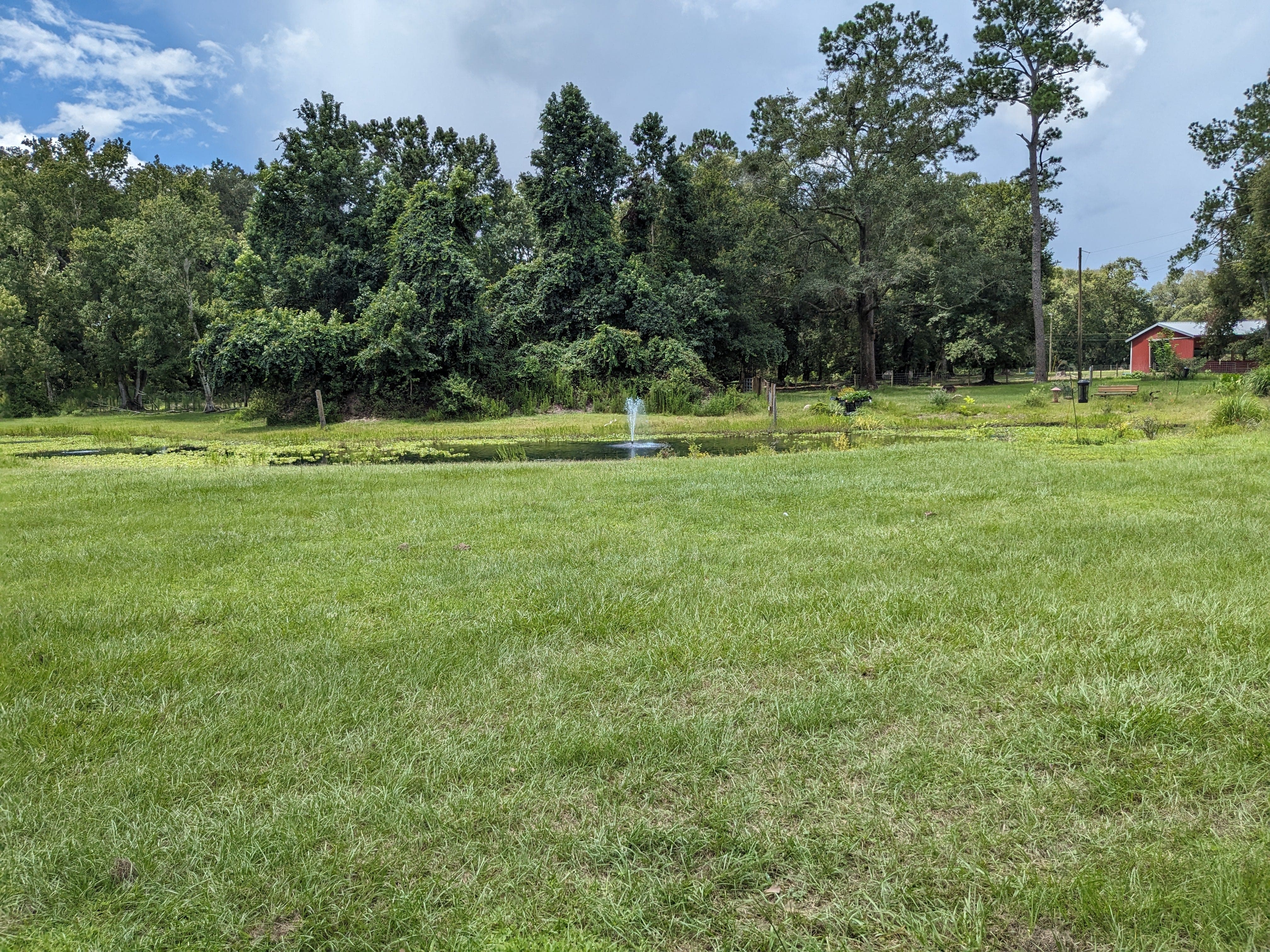 Wedding Ceremony with Rescued Farm Animals & Butterflies!、mySite、g9winljtr