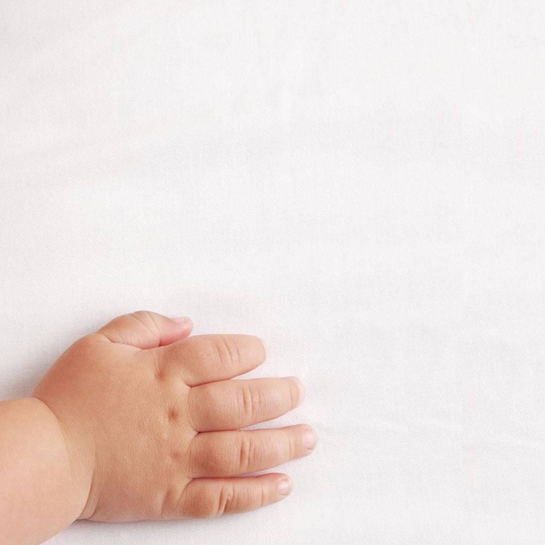  The Little Green Sheep - Organic Jersey Fitted Sheet - Cot Bed 70x140cm、mySite、merchandisen