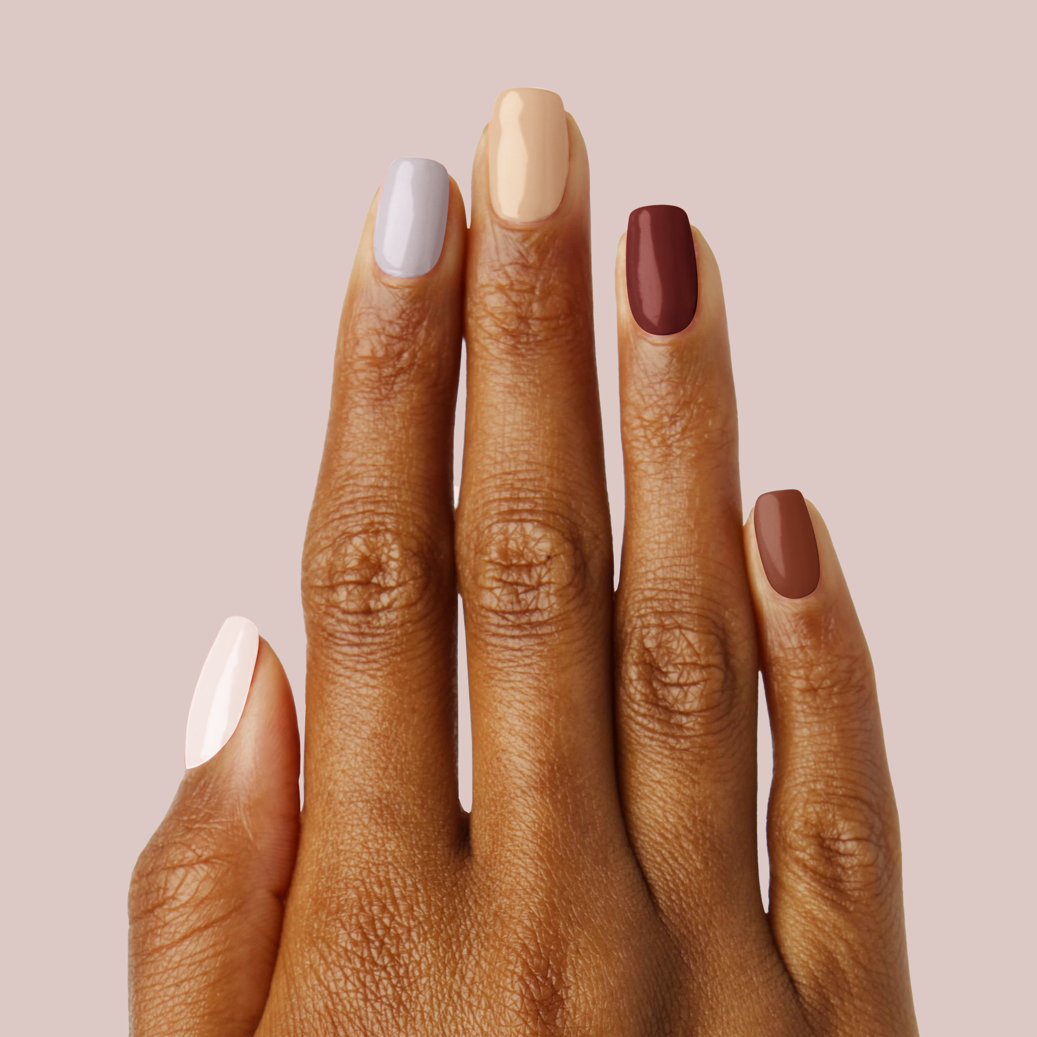 Shaken Espresso、mySite、solidvoid