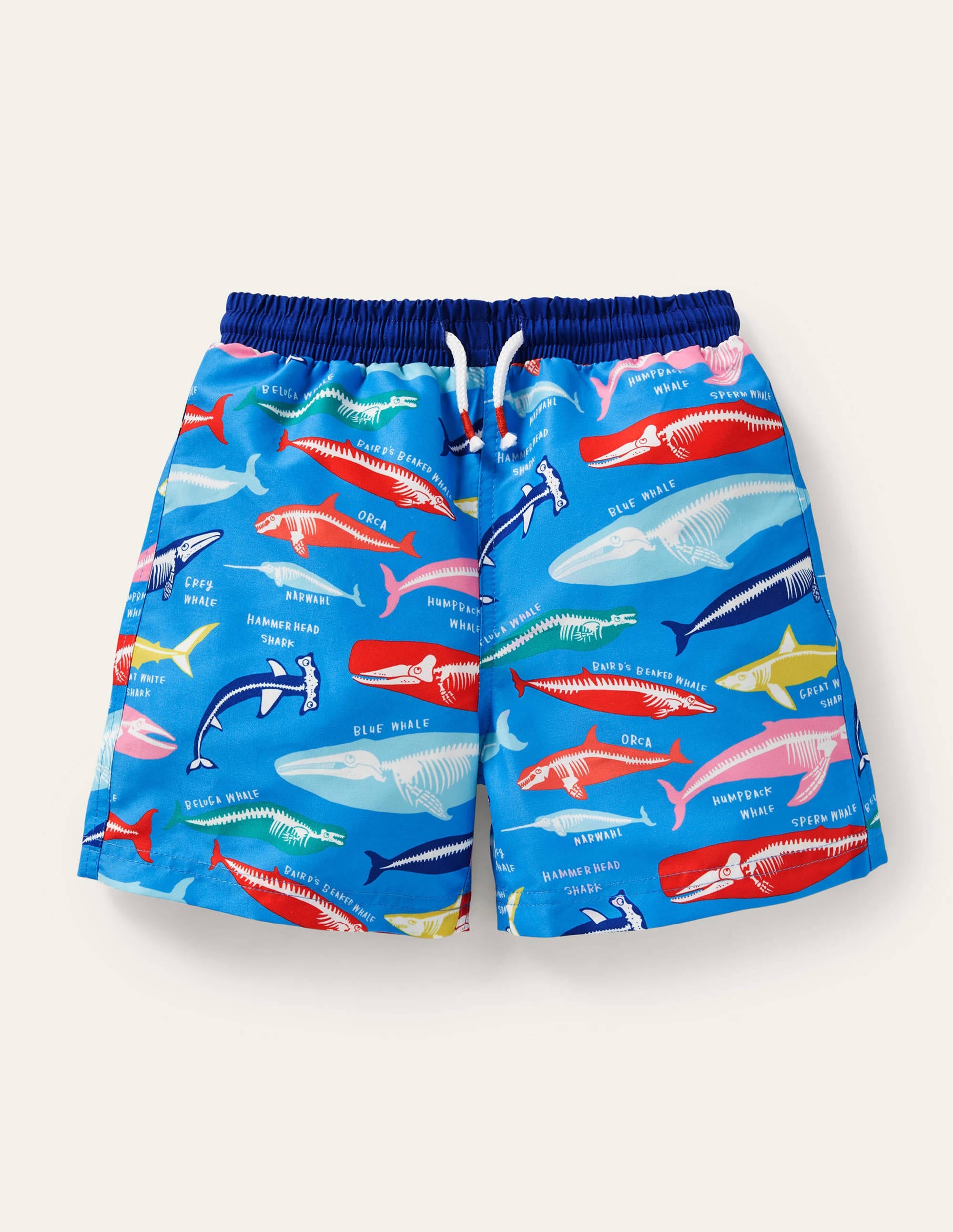 Swim Shorts-Malibu Blue, Whale Bones、mySite、ashleygrahame
