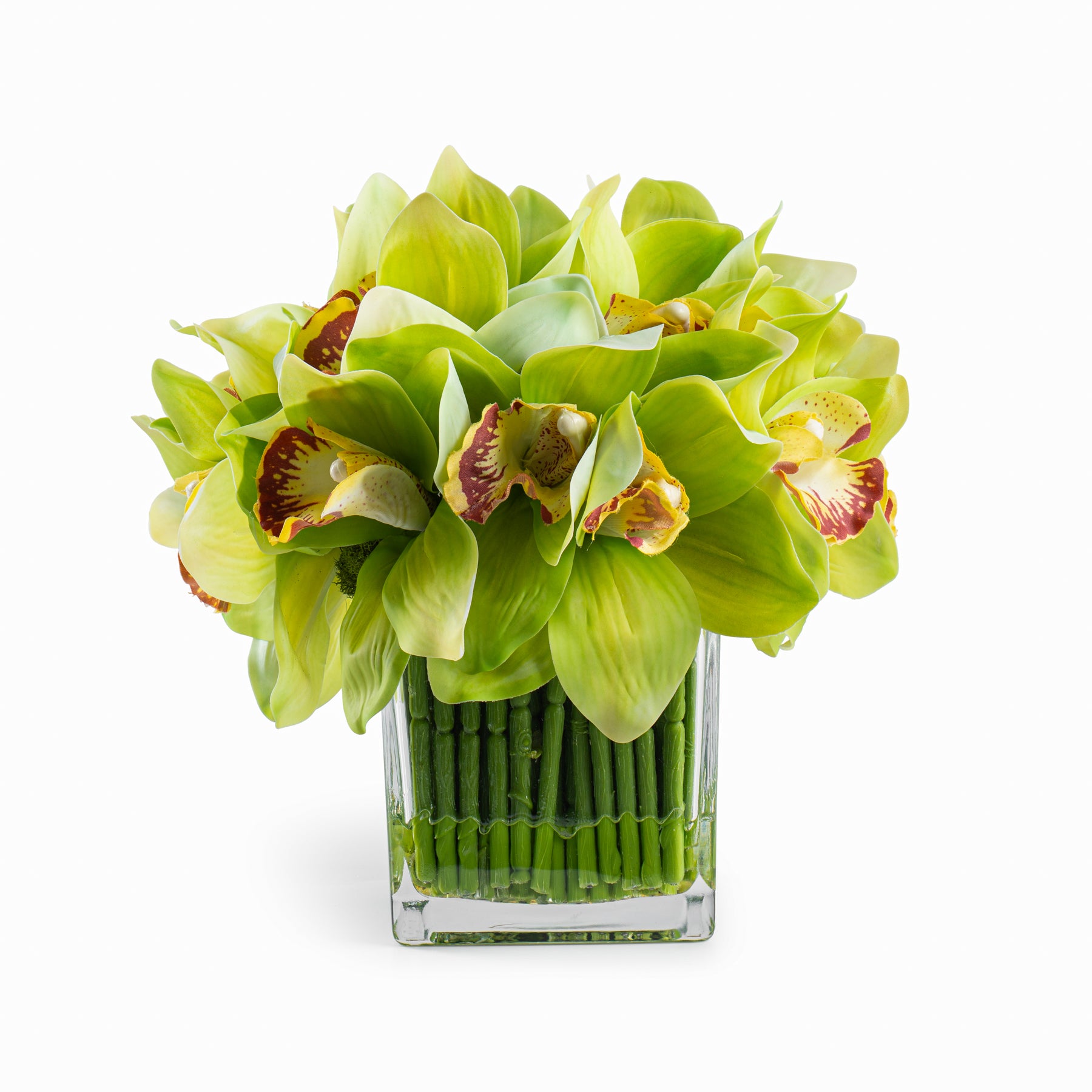  DH Green Orchid in Square Glass Vase、mySite、elrpsem3k