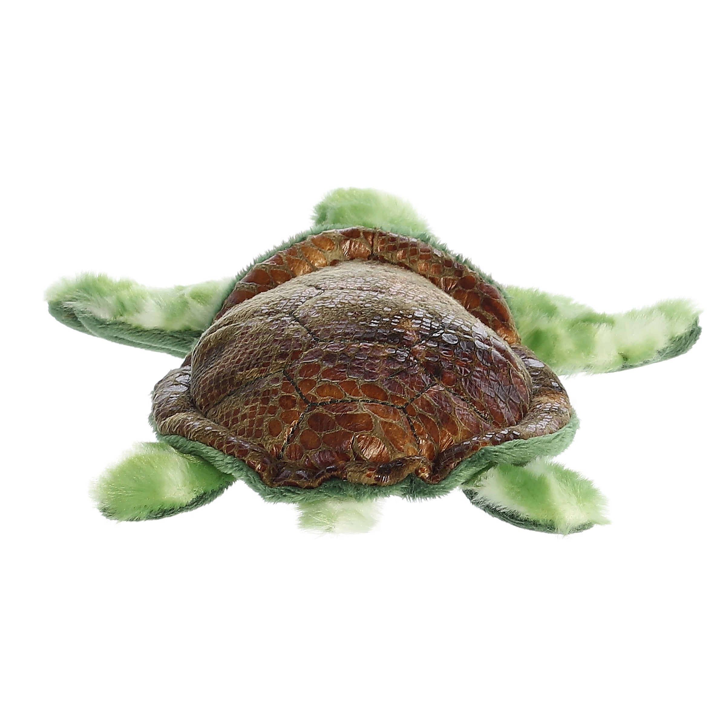 Aurora® - Mini Flopsie™ - 8 Splish Sea Turtle™、mySite、g9winljtr