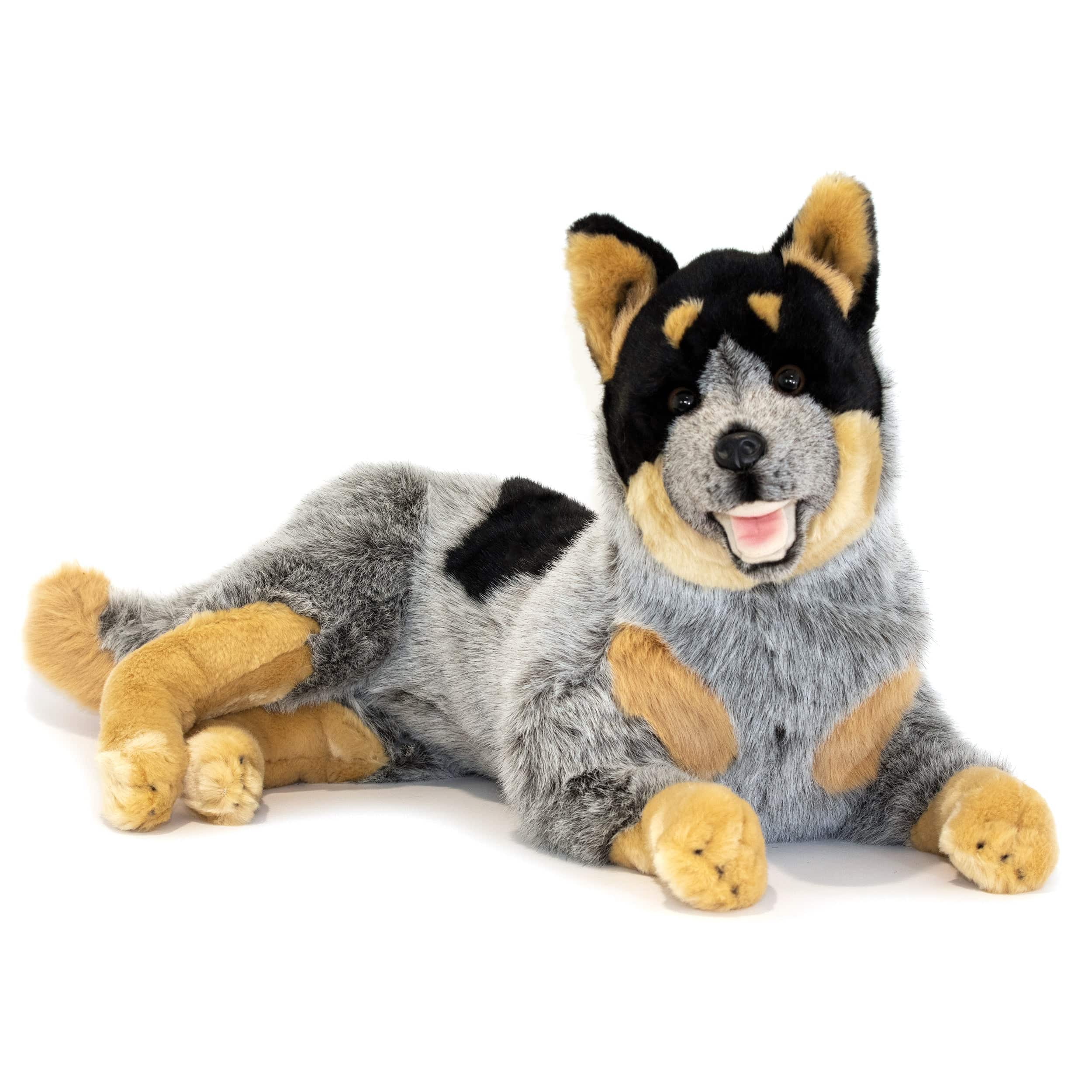 Large Realistic Australian Cattle Dog Blue Heeler 24、mySite、g9winljtr