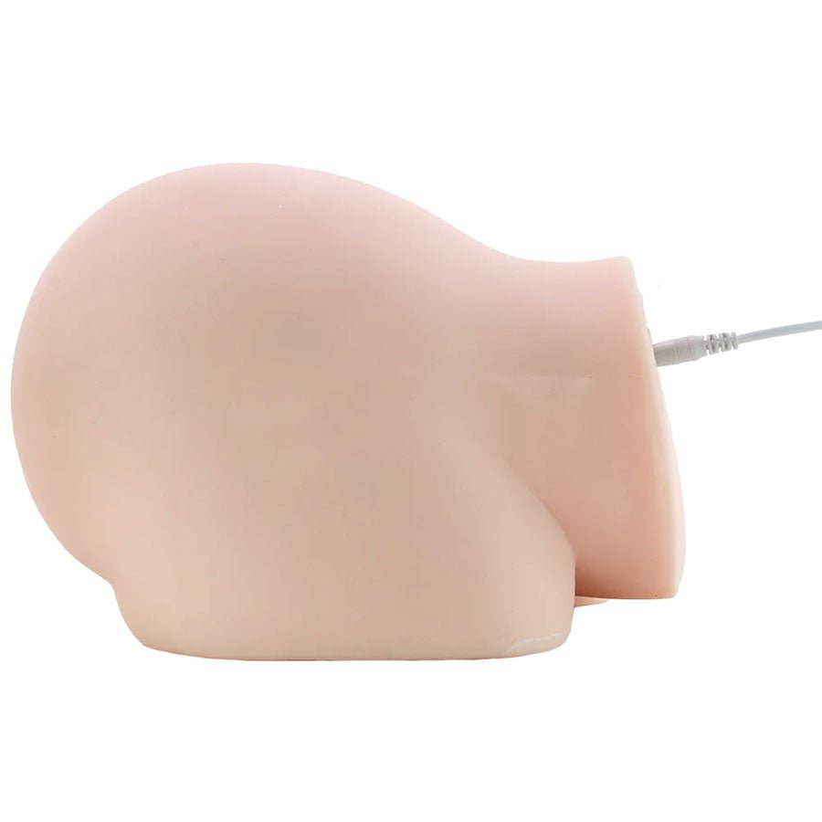 Dirty Talk Interactive Realistic Vagina and Ass Masturbator、mySite、bottomscart