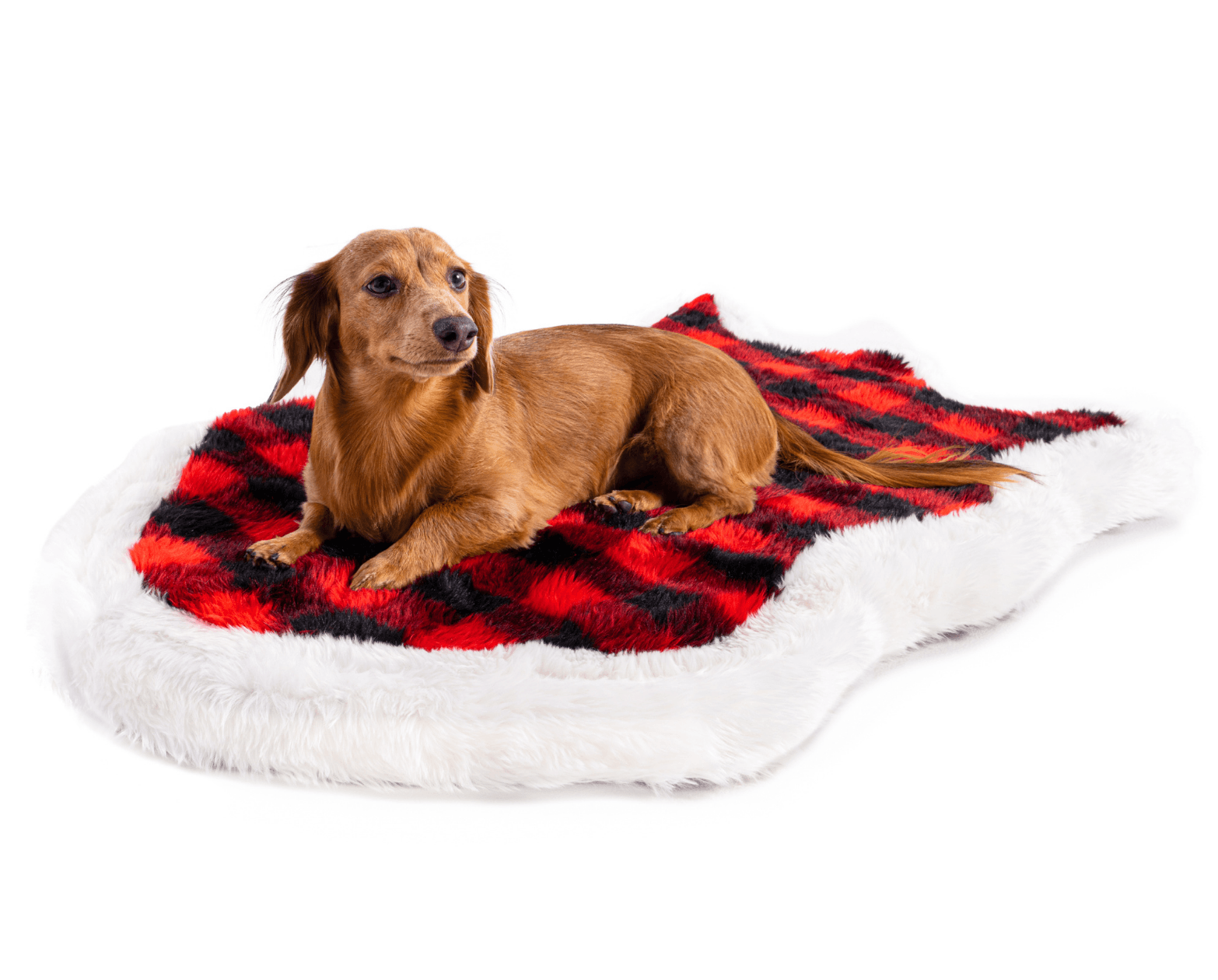 PupRug™ Faux Fur Orthopedic Dog Bed Cover - Curve Red & Black Plaid (Bed Not Included)、mySite、solidvoid