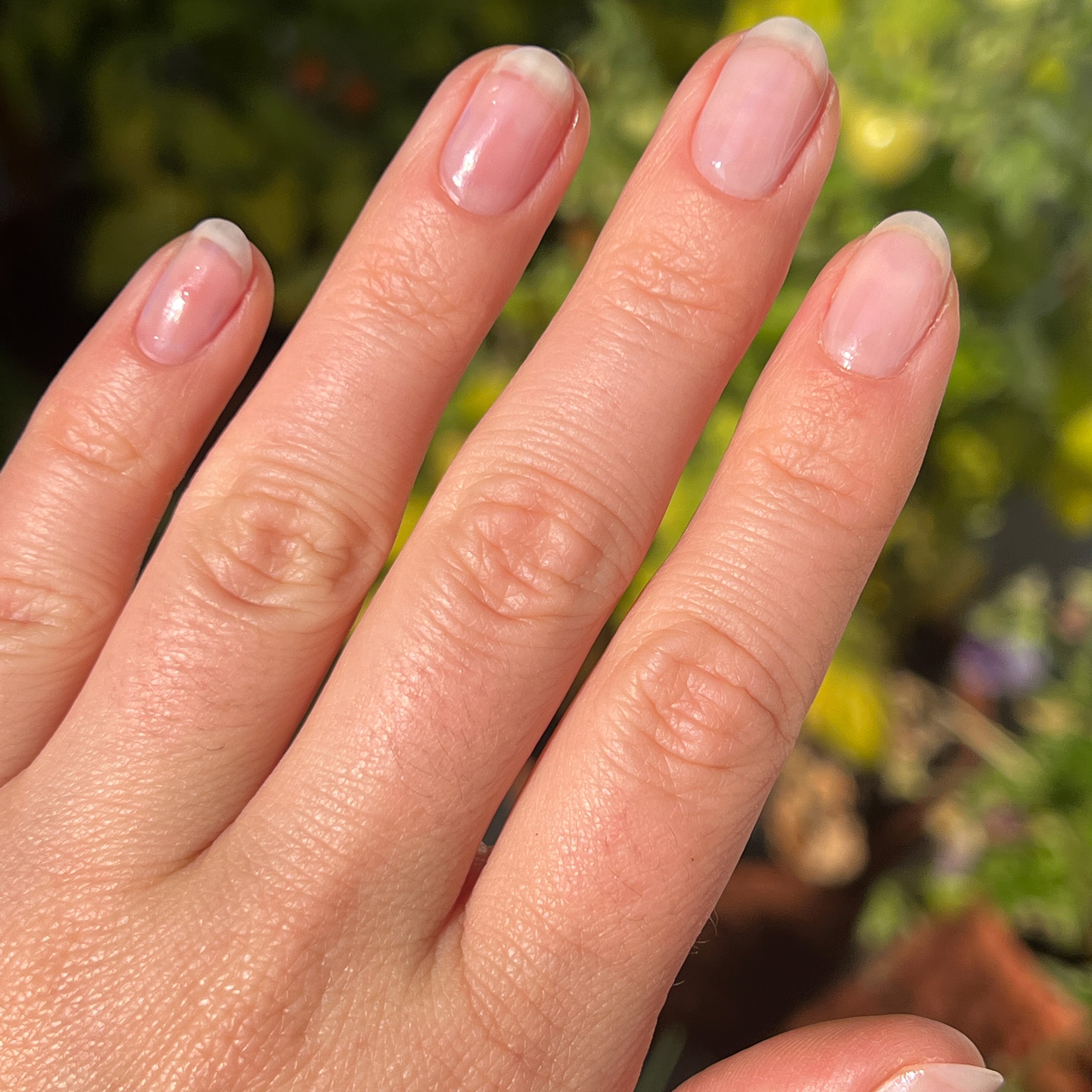 Crystal、mySite、solidvoid