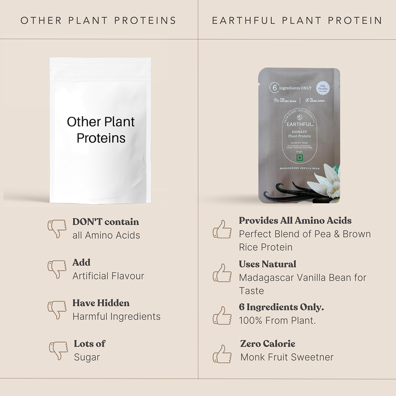 Plant Protein Powder Madagascar Vanilla | For Stamina, Energy, & Managing Weight | Pack Of 6、mySite、camillekostekn