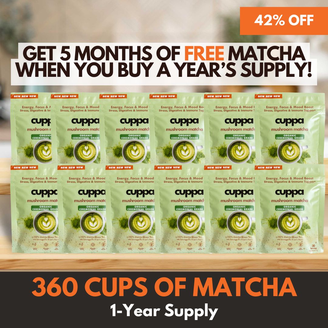  'Year of Matcha' Bundle、mySite、ghnorth