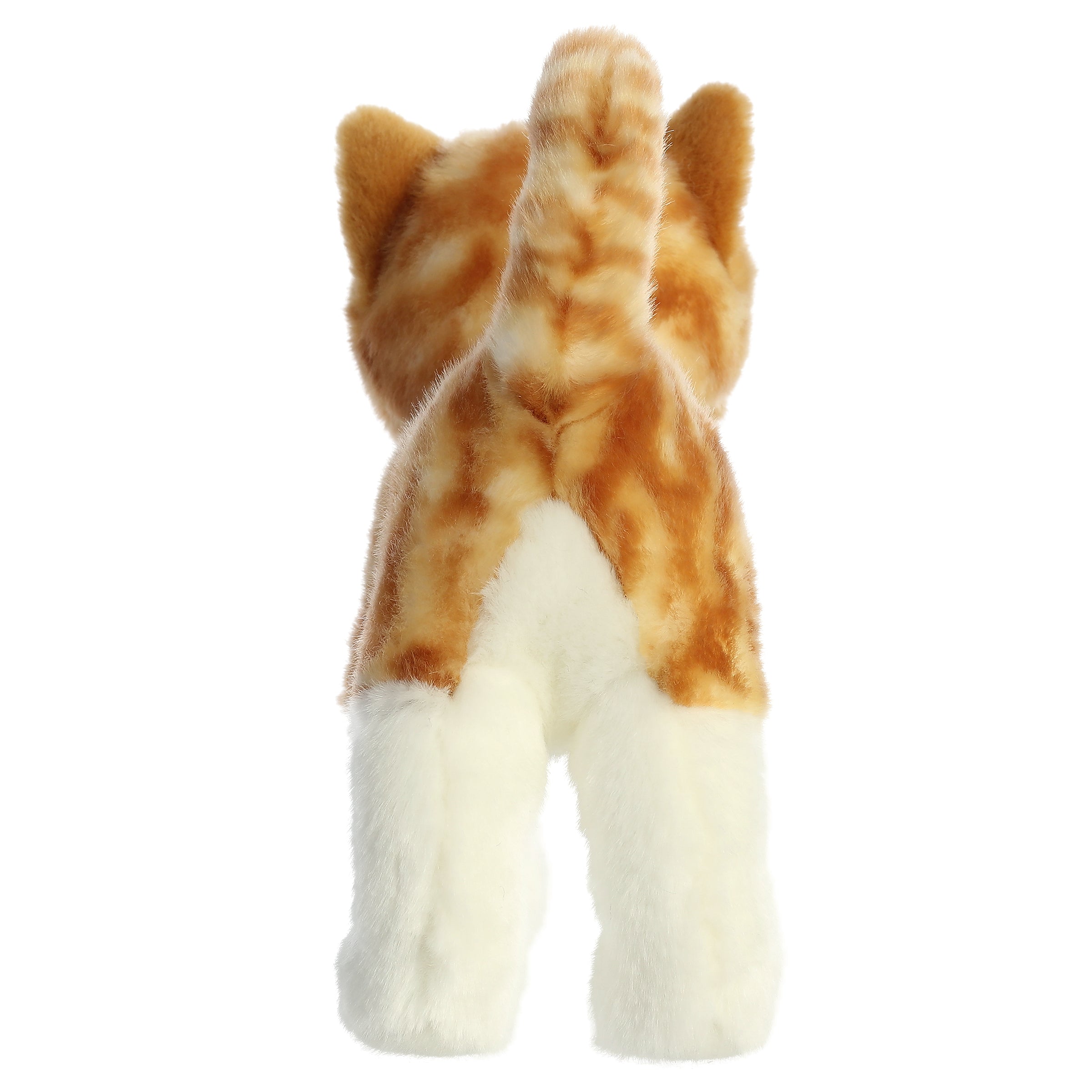 Aurora® - Miyoni® - 10 Orange Tabby Cat、mySite、g9winljtr