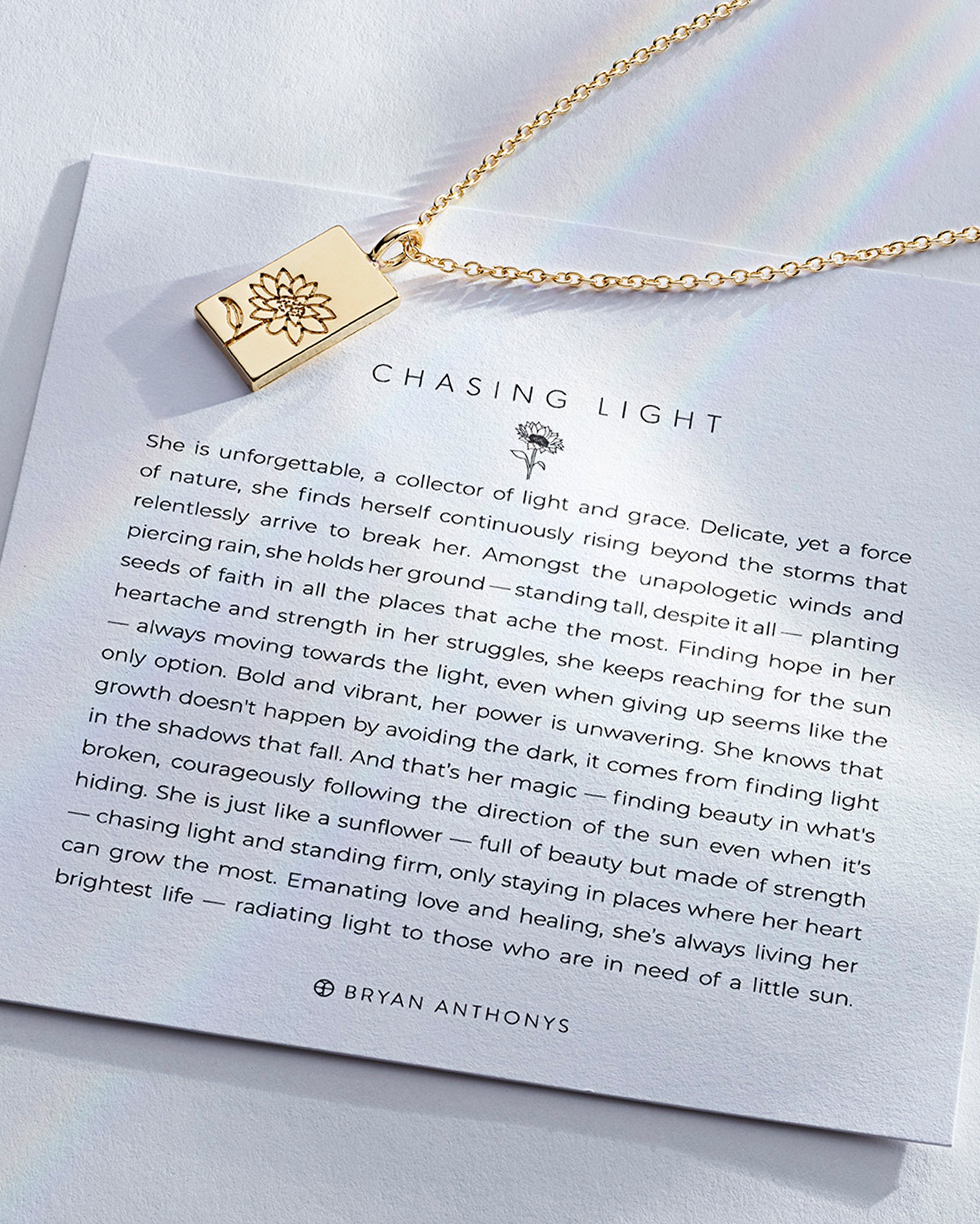 Chasing Light Necklace、mySite、hinf8tx79