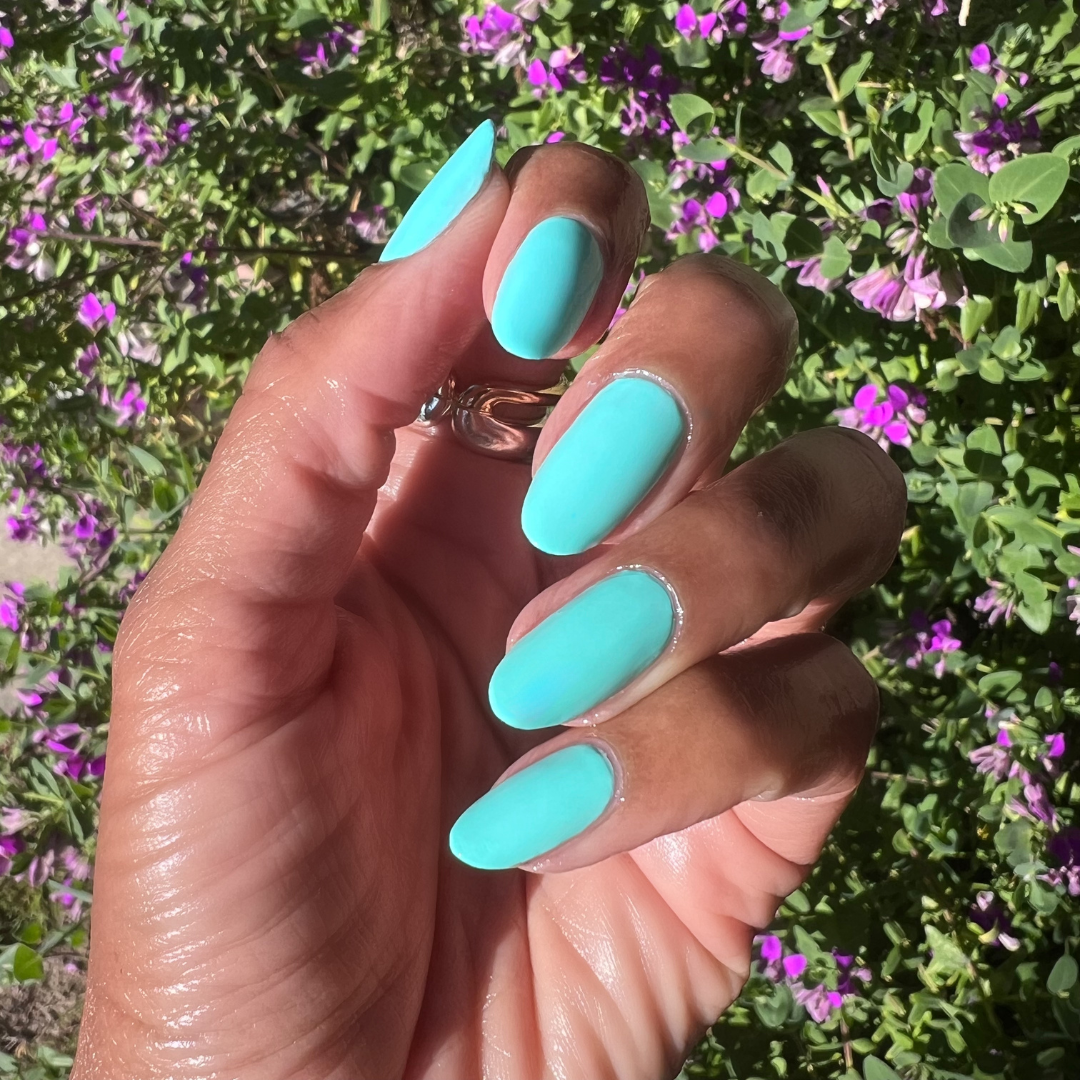 All Manis on Deck、mySite、solidvoid