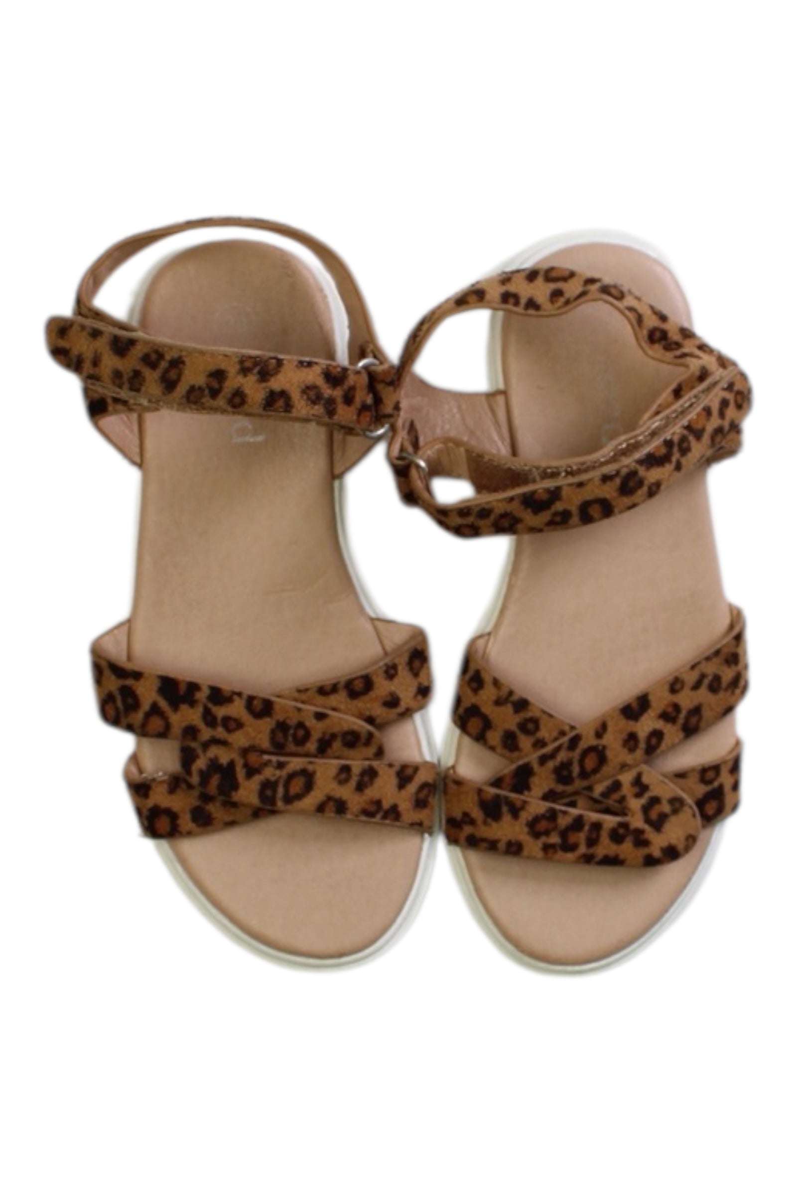 Seed Animal Print Sandal EU28、mySite、g9winljtr