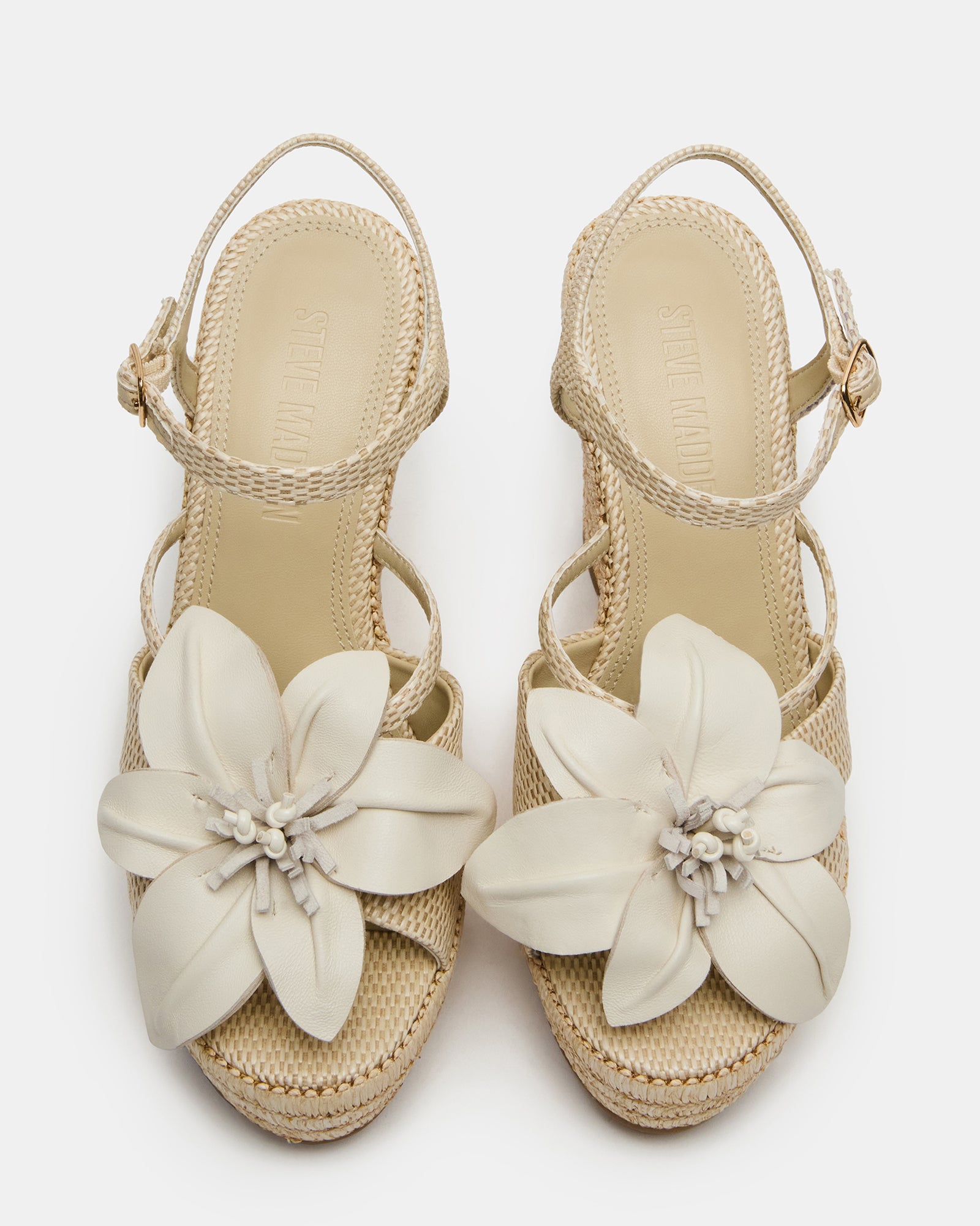 FLORENTINA BONE、mySite、gtrtttuynbv