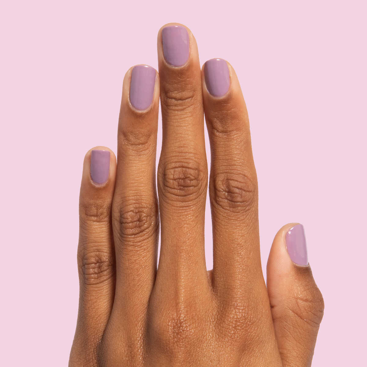 Prairie、mySite、solidvoid