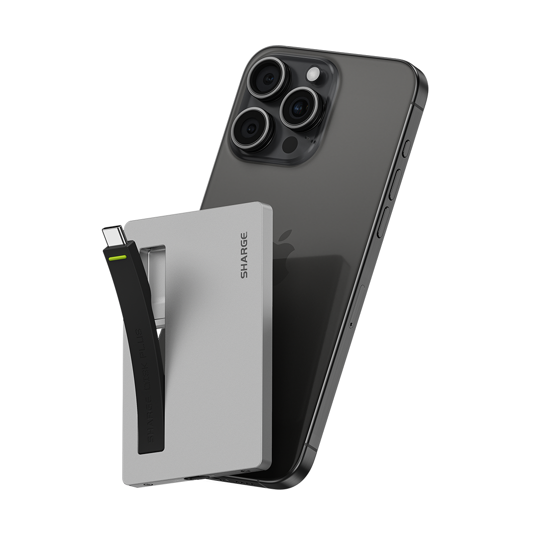 Disk Plus、mySite、fannypackpong