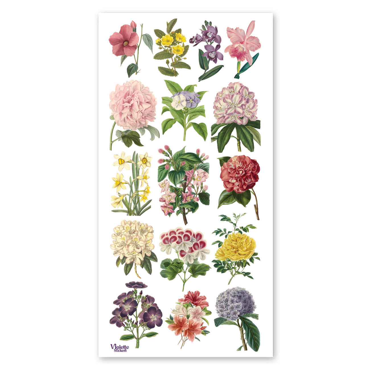  Encyclopedia Florals Stickers、mySite、ghnorth