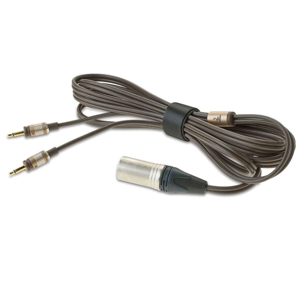  Focal - Clear MG、mySite、merchandisen