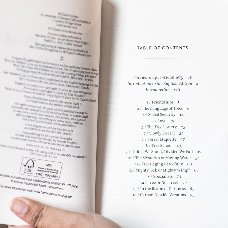 Hidden Life of Trees、mySite、topwebapps