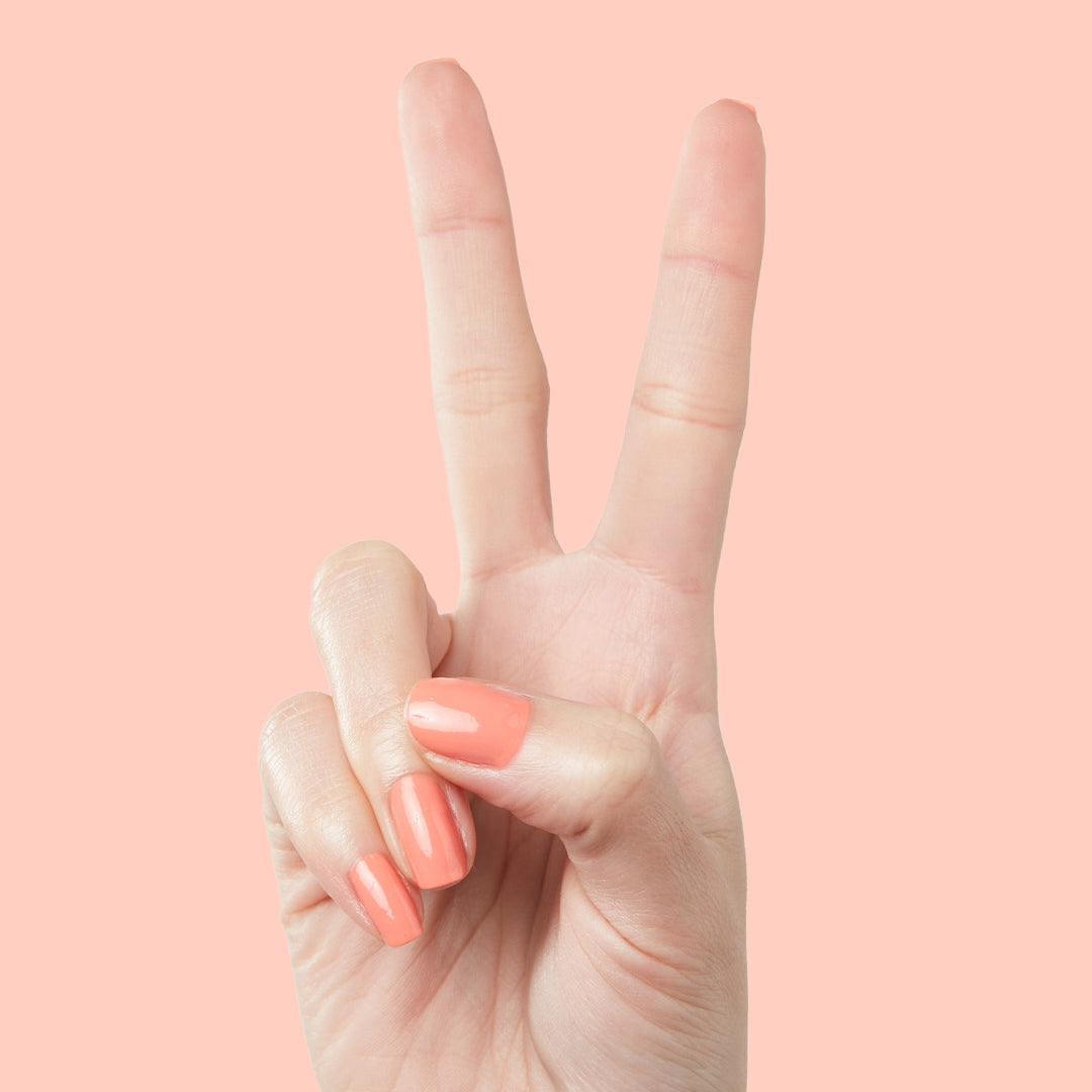 Counselor In Training、mySite、solidvoid