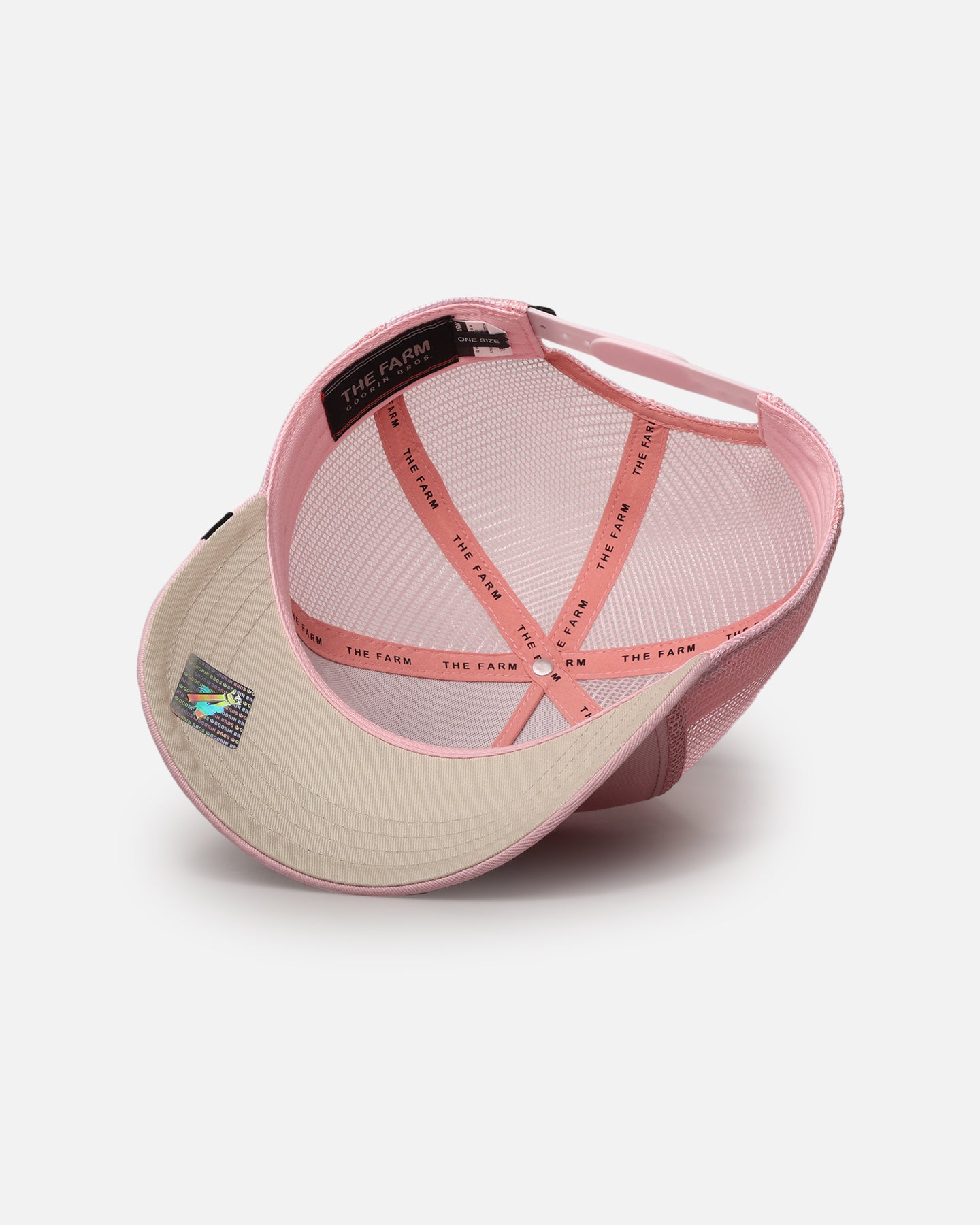 Goorin Bros The Queen Lioness Snapback Pink、mySite、zt4zffjzw