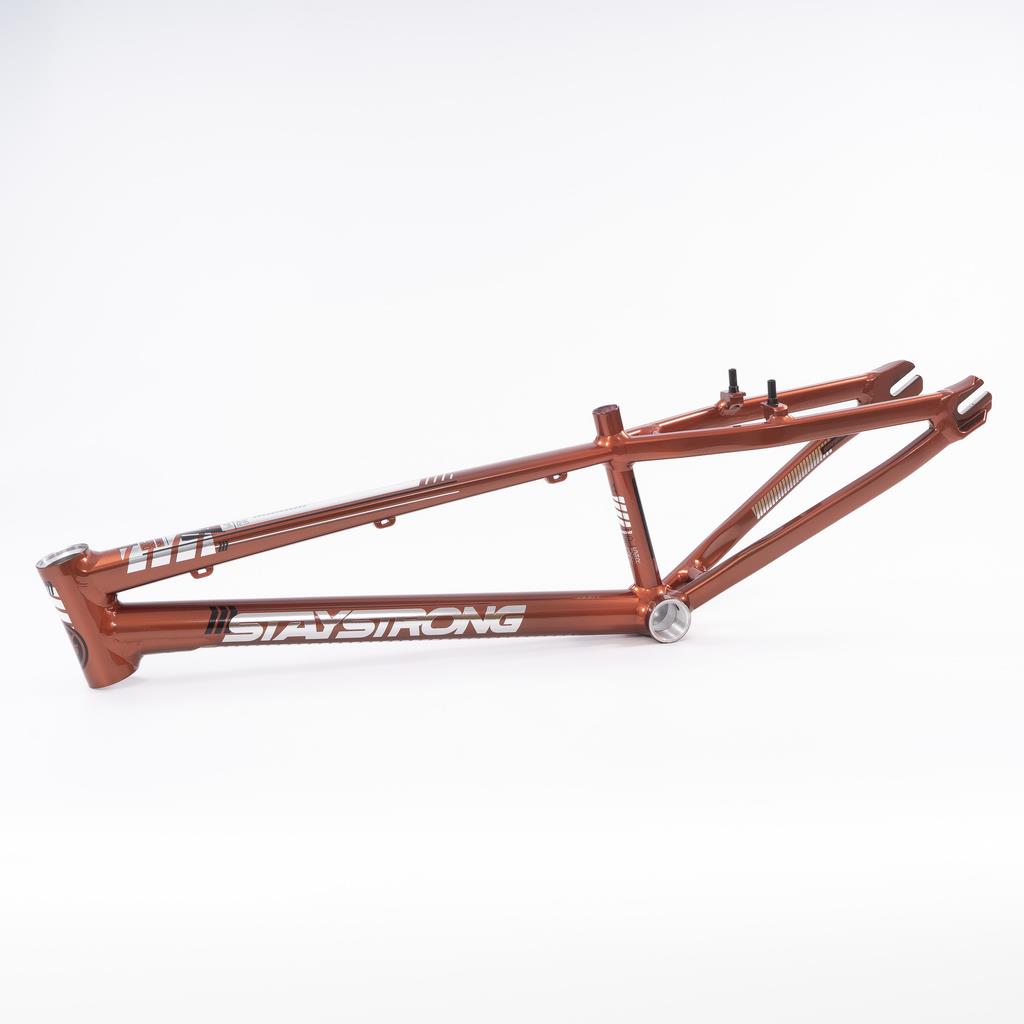  Stay Strong For Life 2023 V4 Expert XL Race Frame、mySite、merchandisen