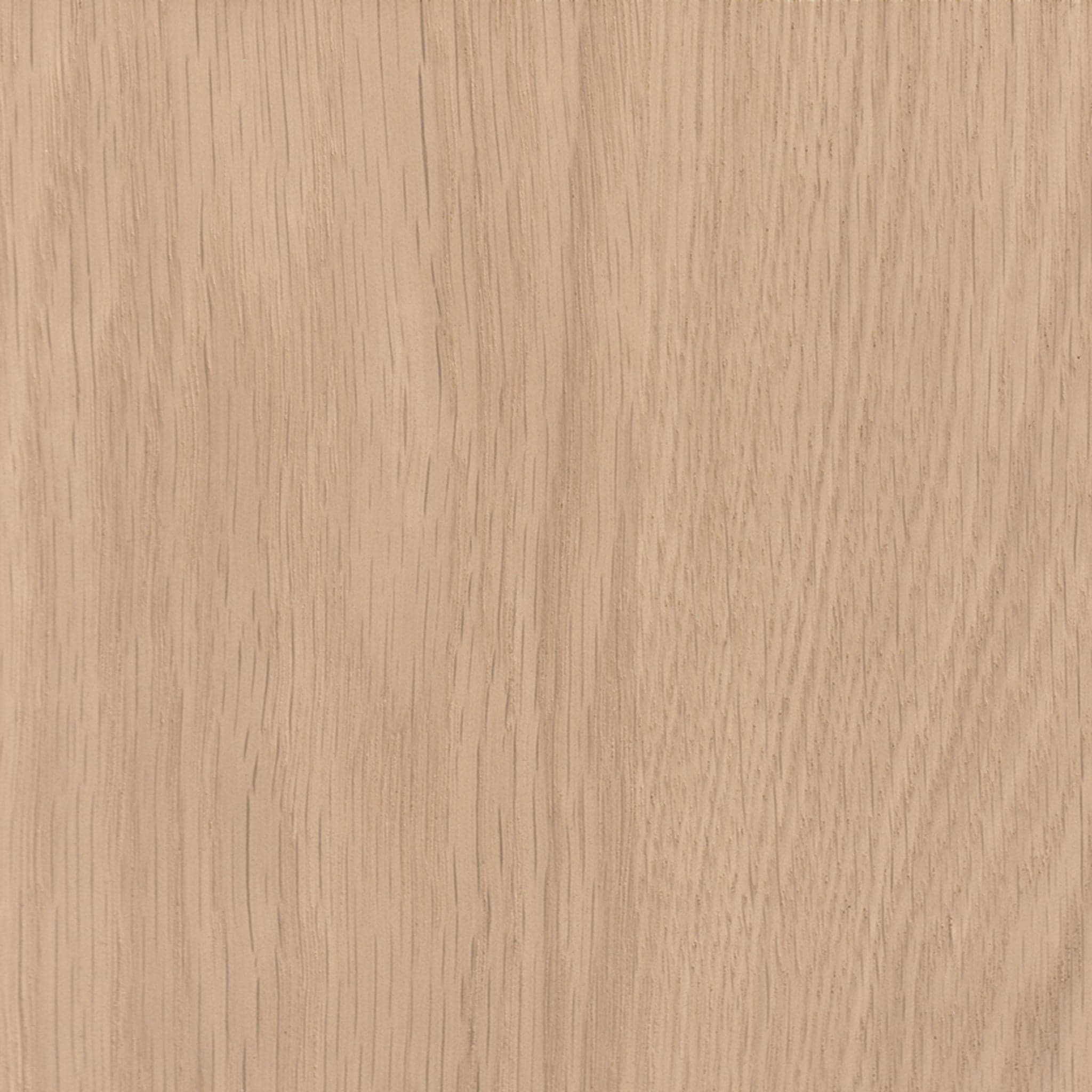 Copeland Butterfly Glass Top Table、mySite、neckold