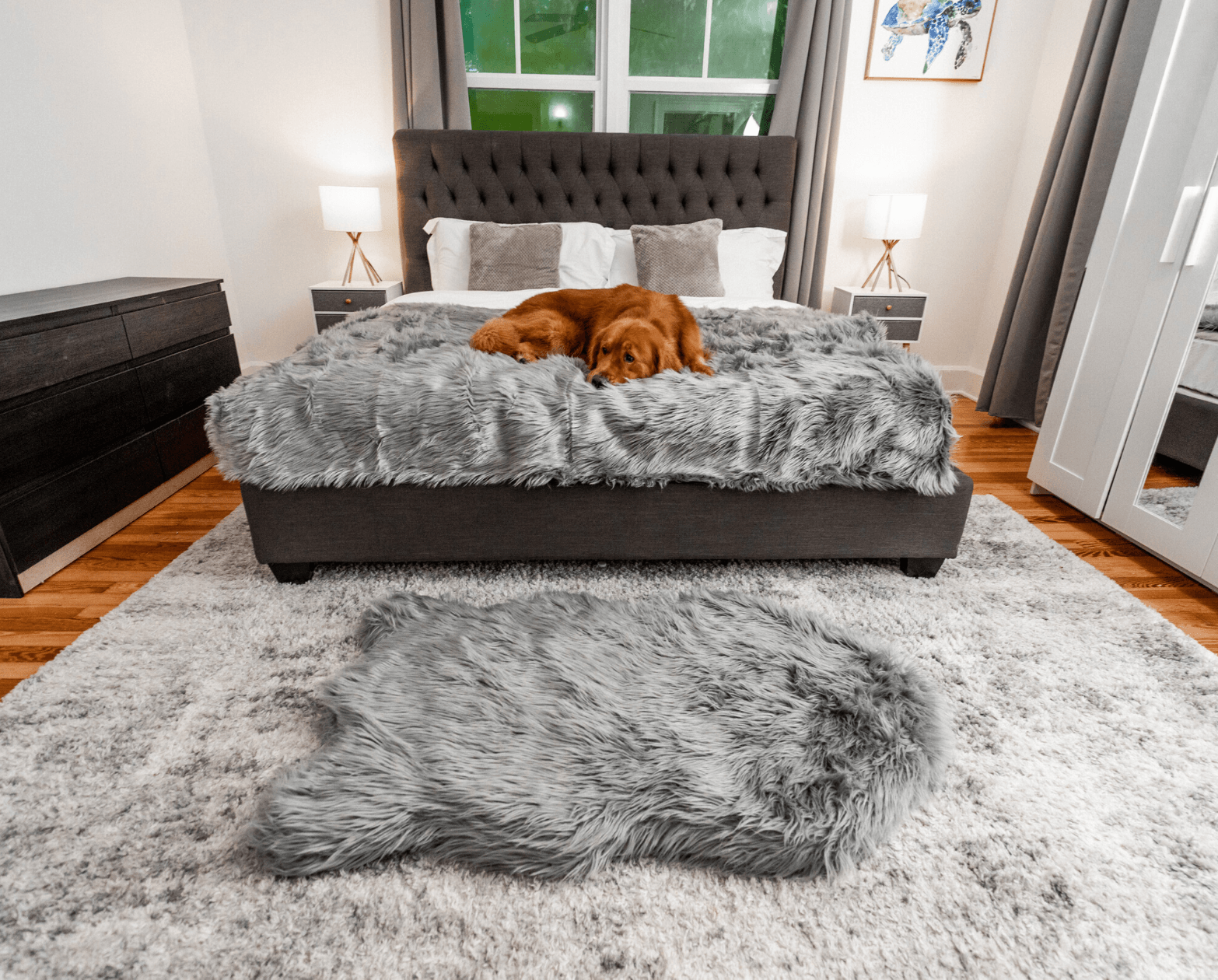 PupRug™ Orthopedic Bed + Matching Waterproof Blanket Bundle - Charcoal Grey、mySite、solidvoid
