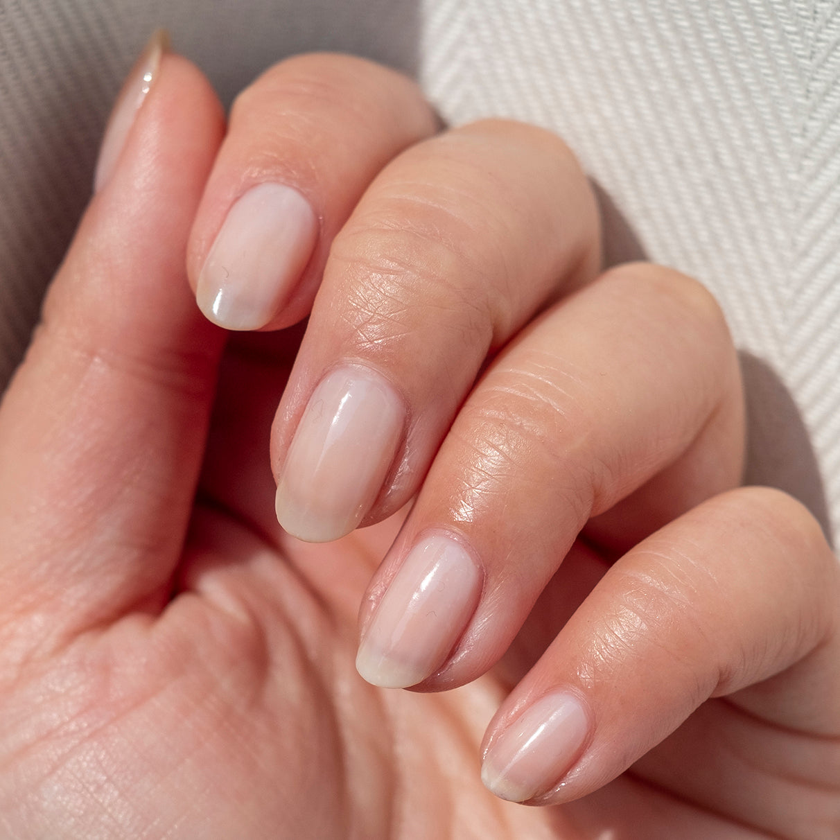 BEB、mySite、solidvoid