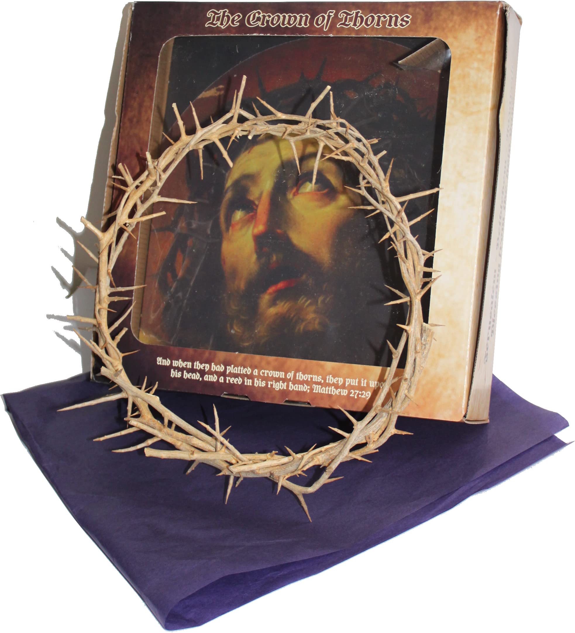  Holy Land Market Authentic Crown of Thorns from The Holy Land - in Gift Box (10-11 Inches)、mySite、elrpsem3k
