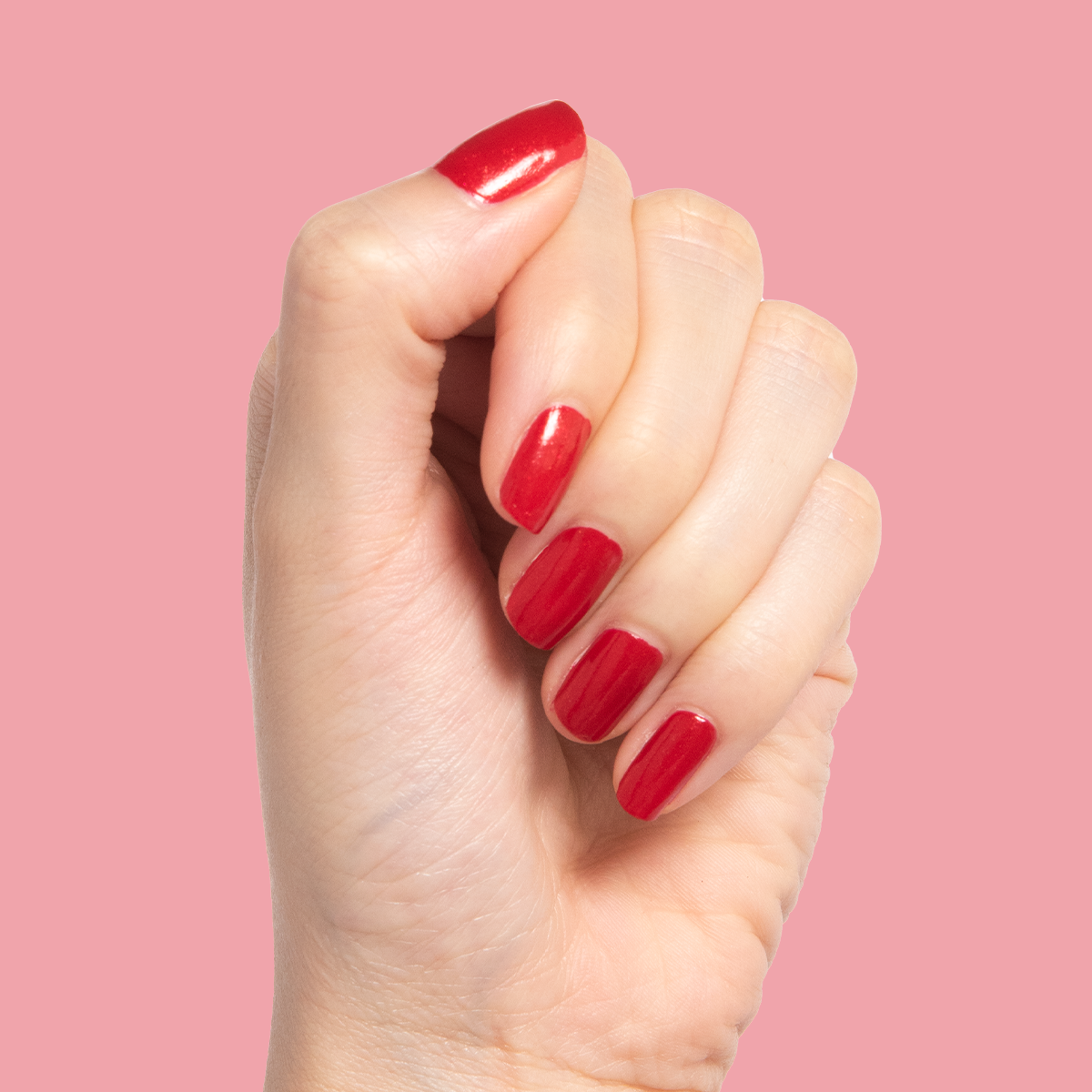 Lippy、mySite、solidvoid