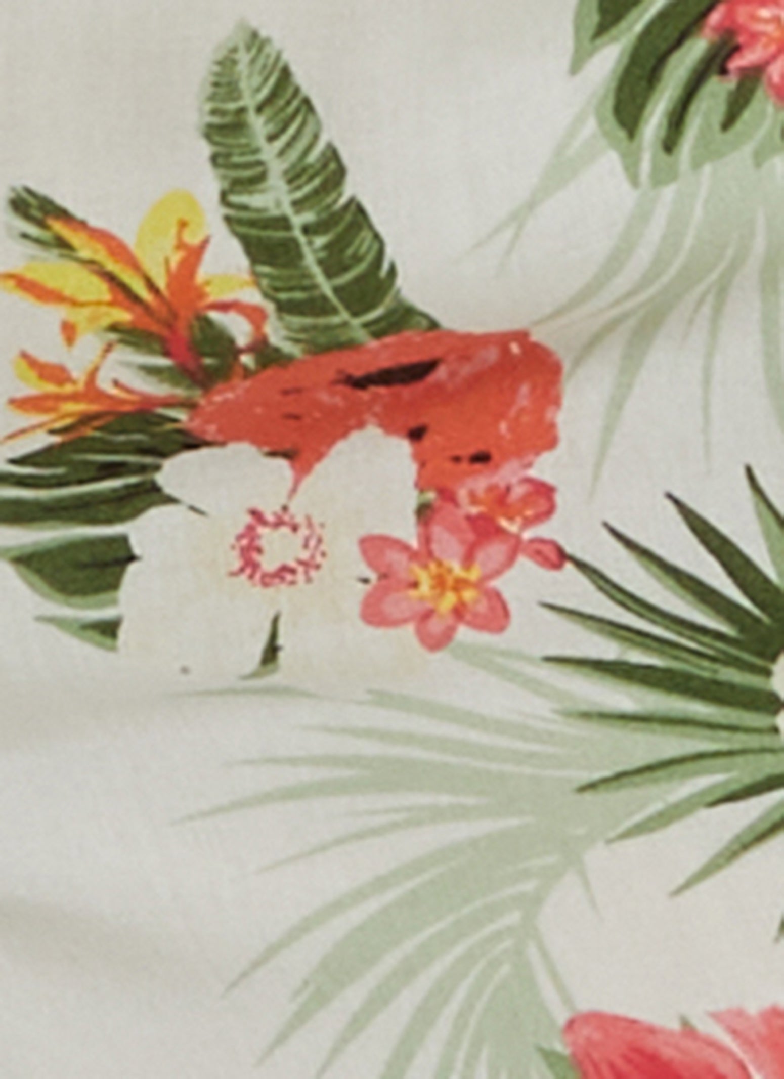 Plus Size Tropical Floral Print High Waist Shorts、mySite、camillekostekn