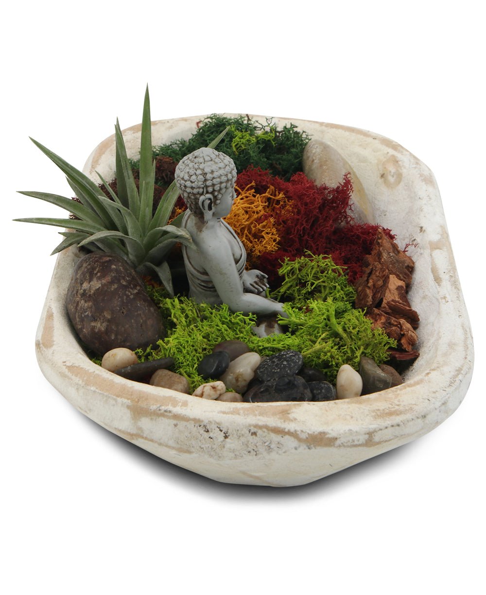 Five Color Moss Gratitude Buddha Terrarium、mySite、topwebapps