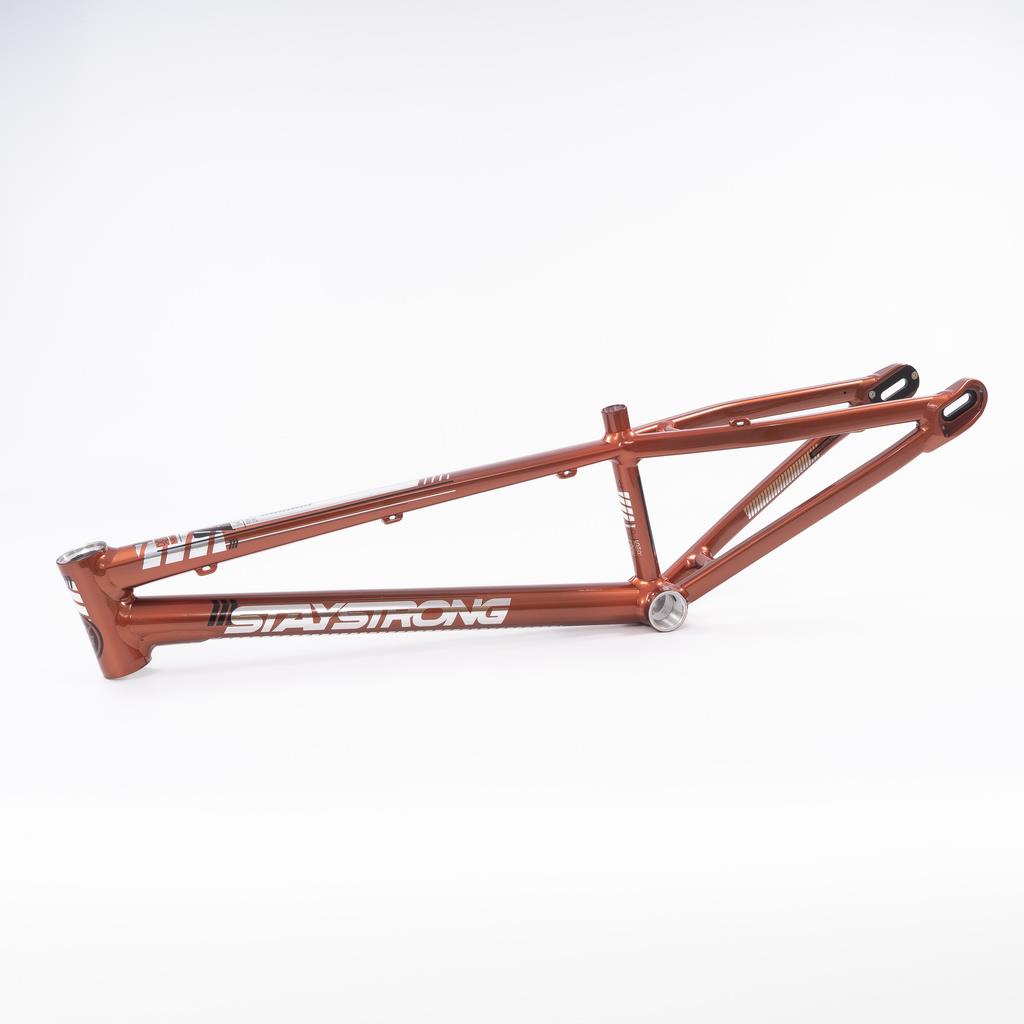  Stay Strong For Life 2023 V4 Cruiser Expert XL Race Frame - Disc Version、mySite、merchandisen